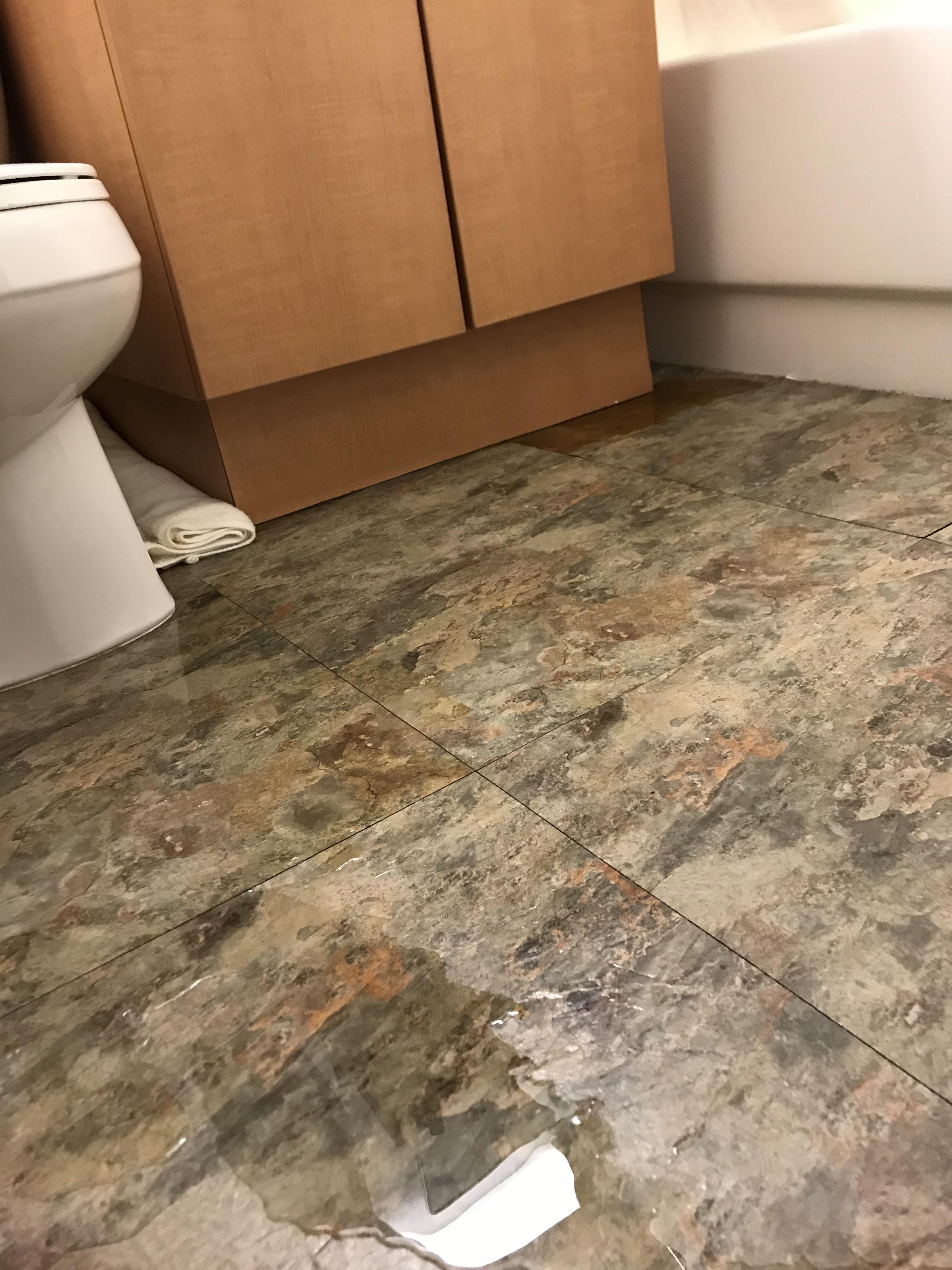 Quarantine update! The bathroom floor has water everywhere and I think