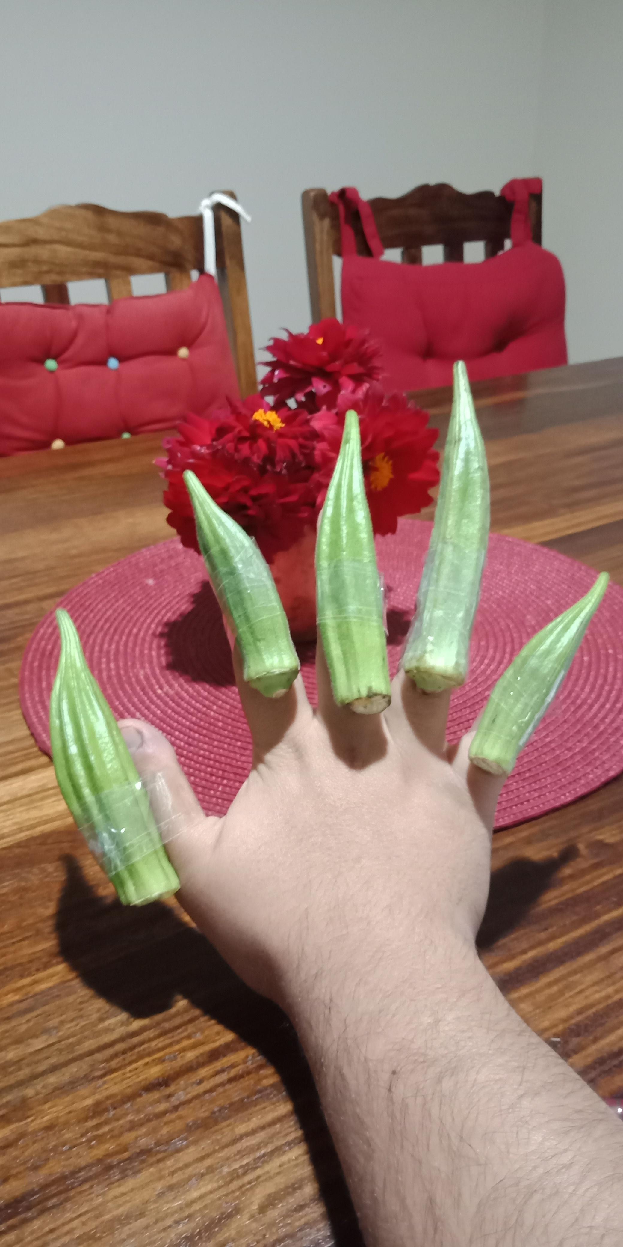 Lady Fingers r/puns