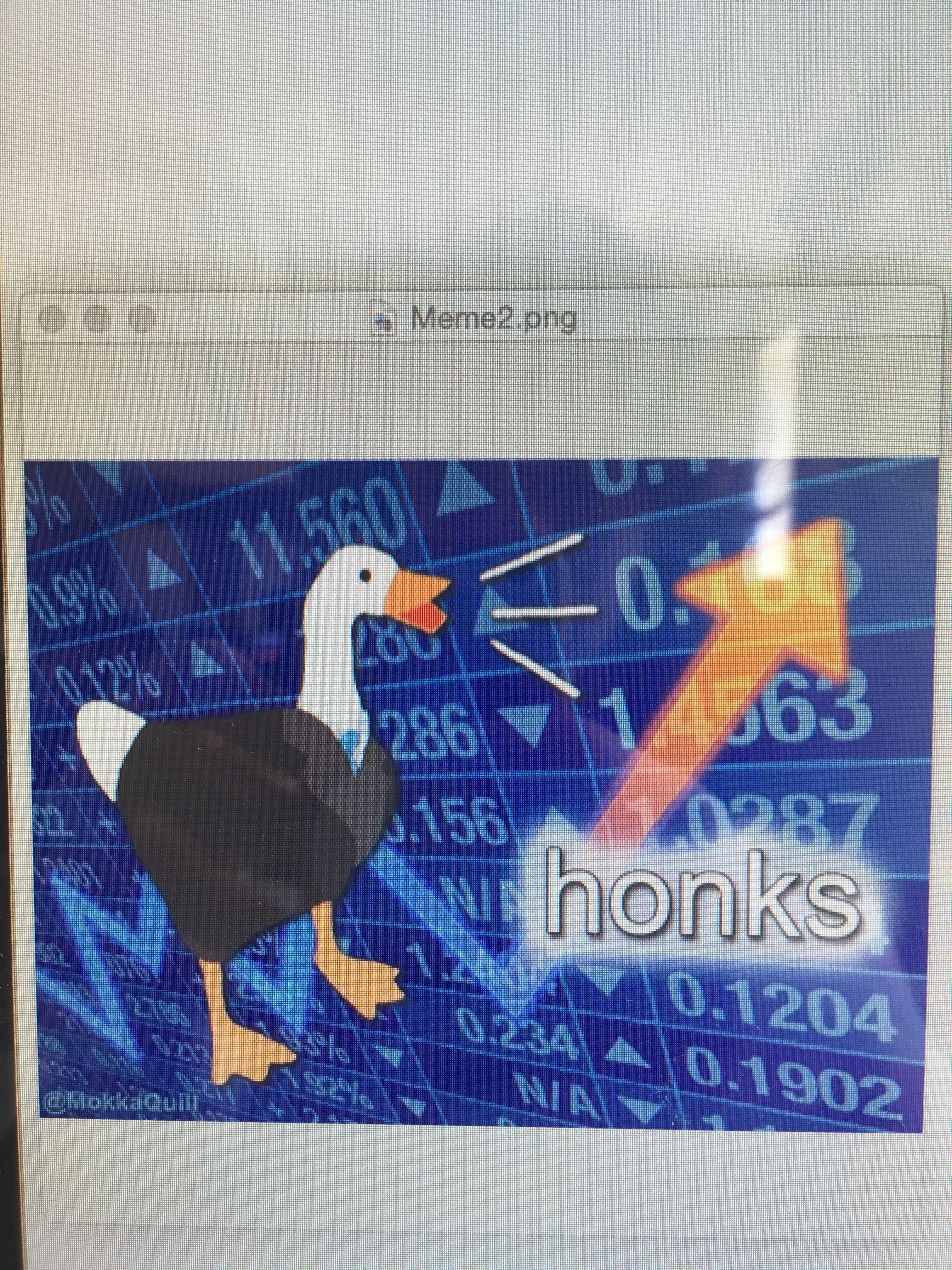 When your desktop goose keeps bringing you memes r/memes