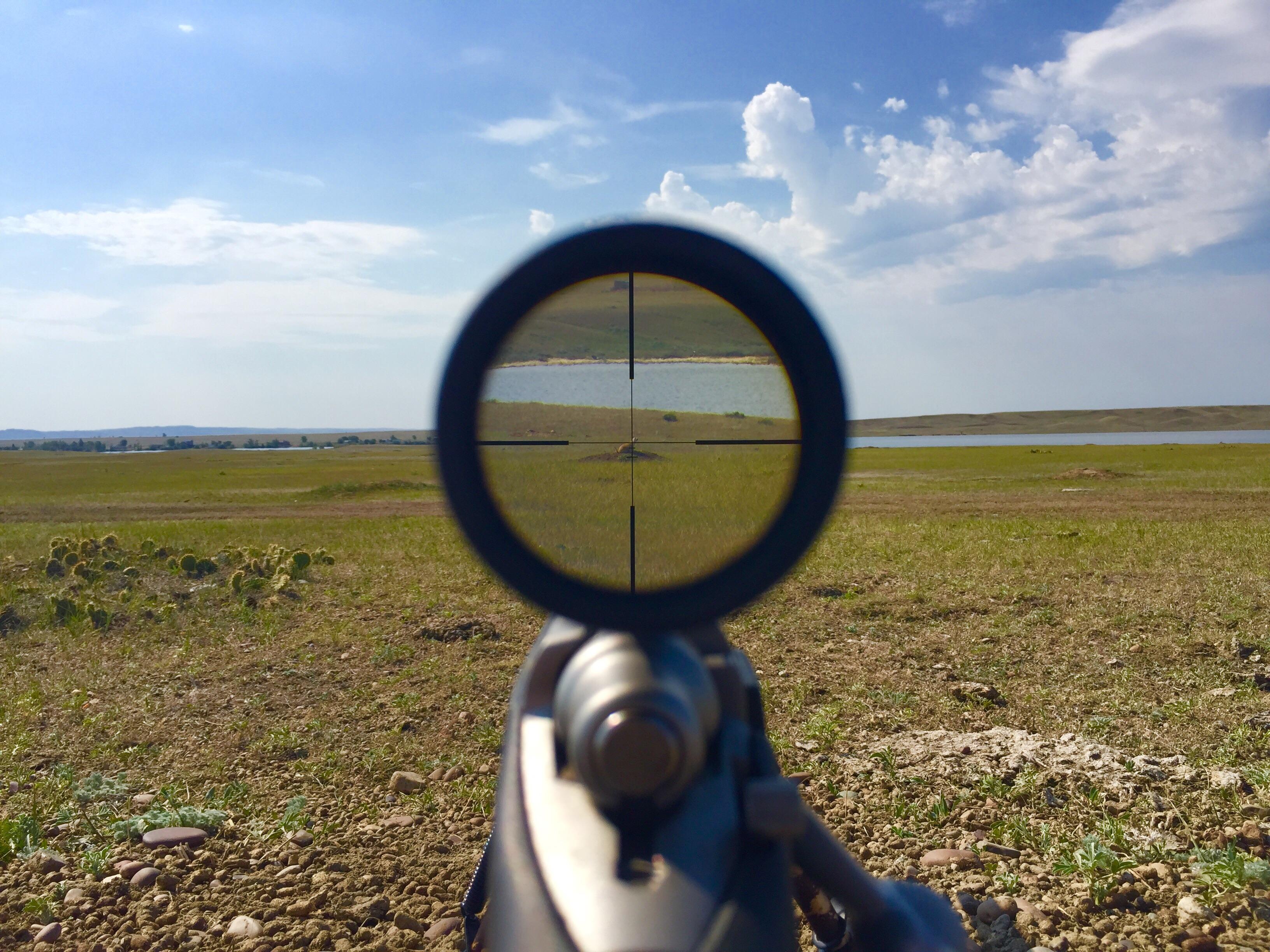 Shooting prairie dogs, NE Montana. Zoom in on the picture r/Hunting