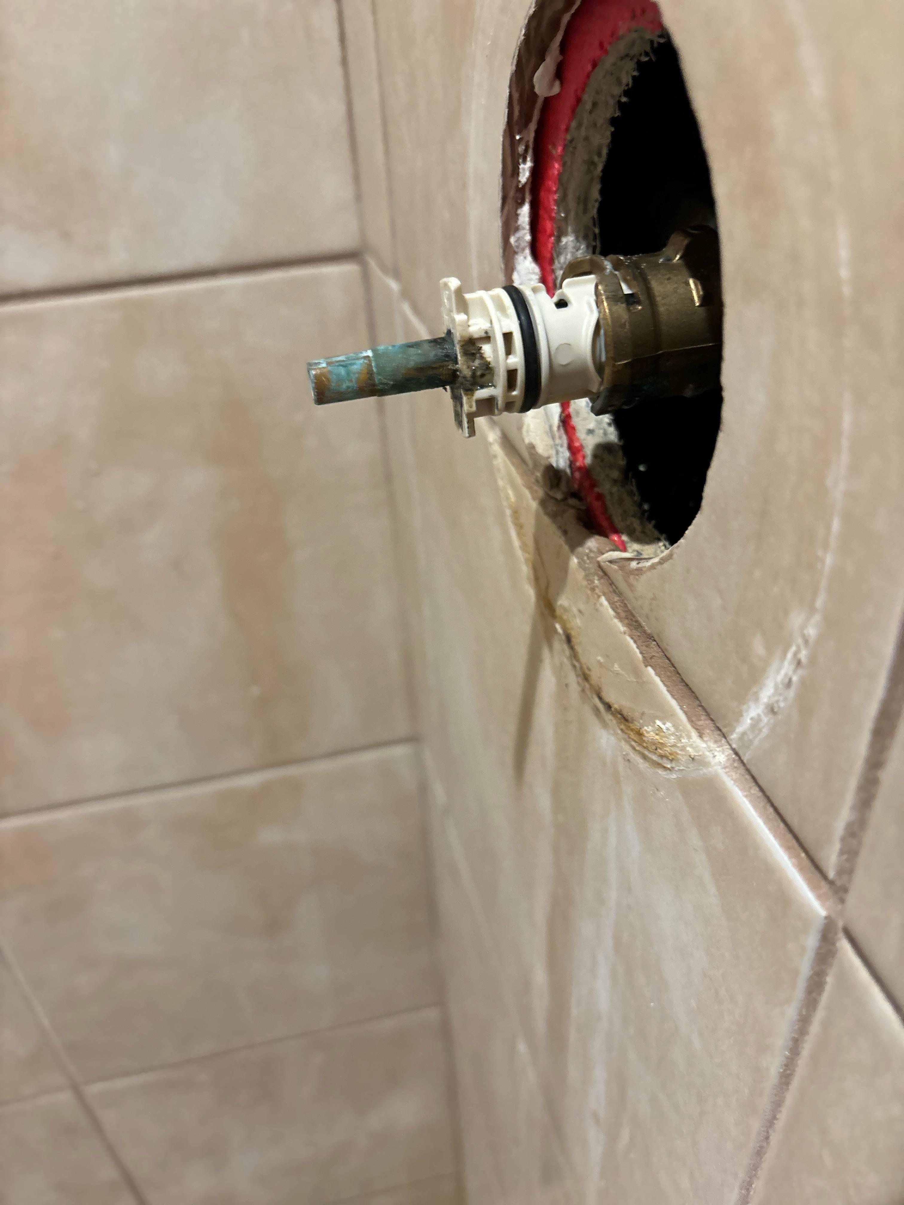 Shower cartridge : r/Plumbing