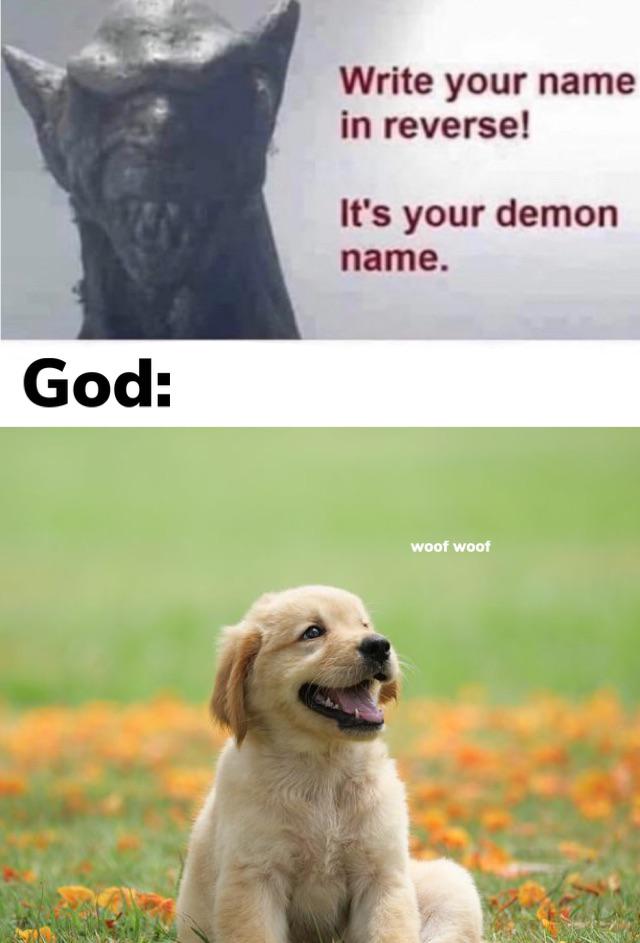 woof woof memes