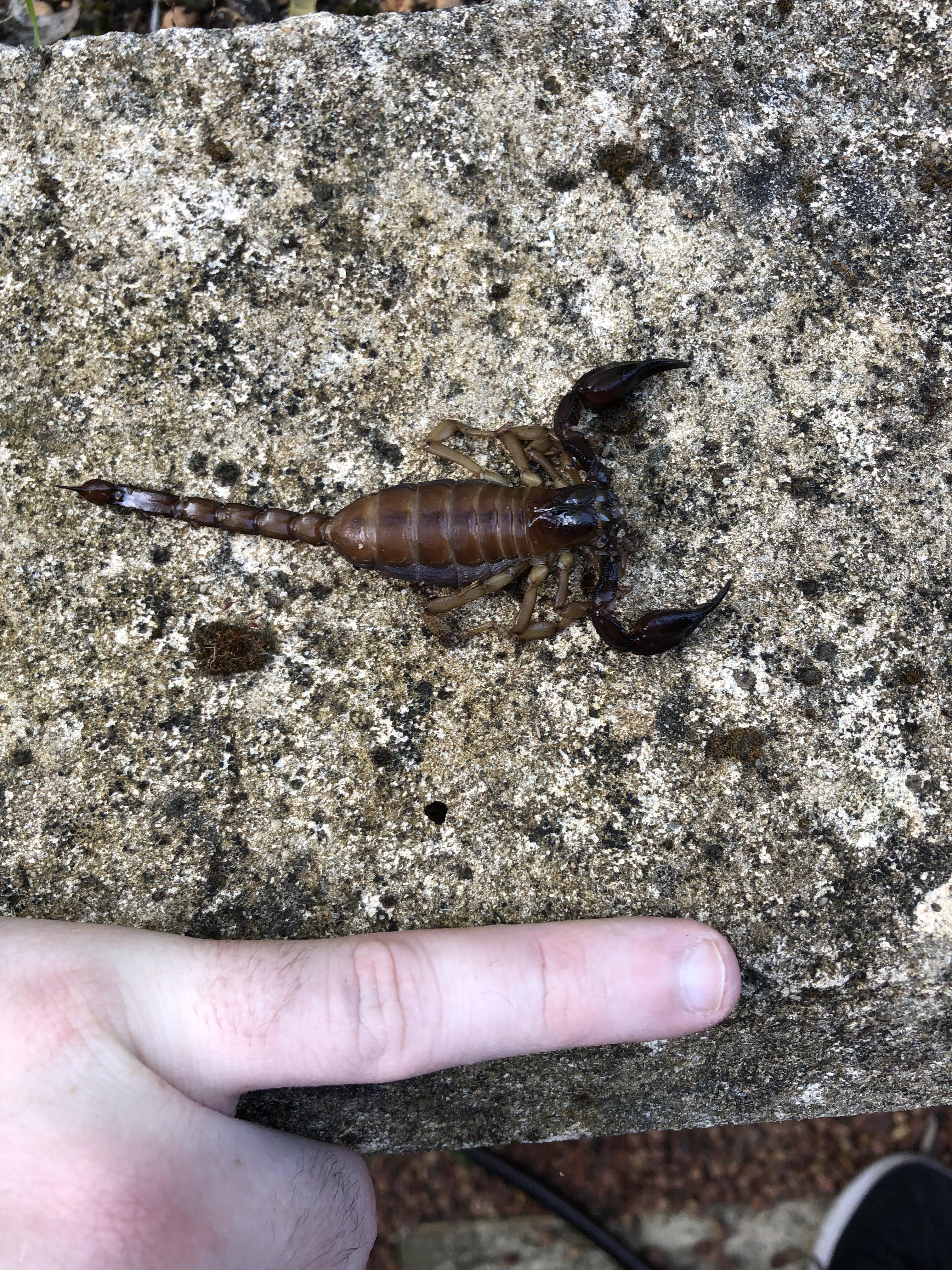 Reddit Dive into anything