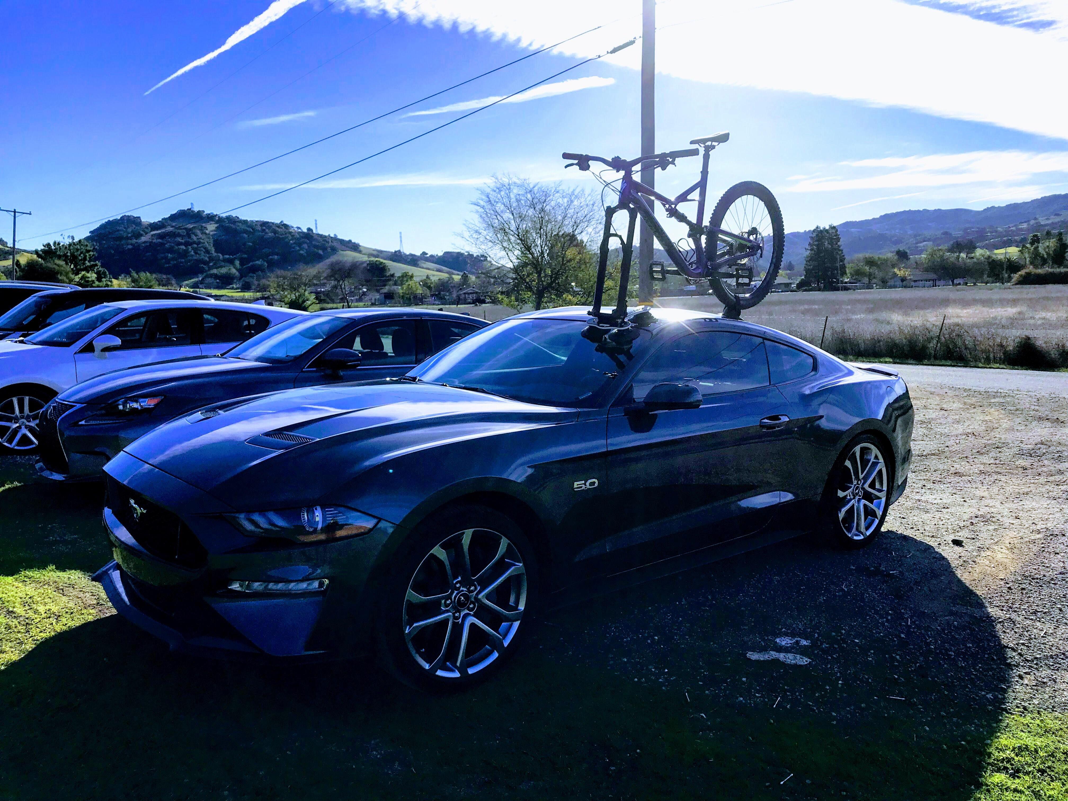 5.0 w the Seasucker Bike Rack!! r/Mustang
