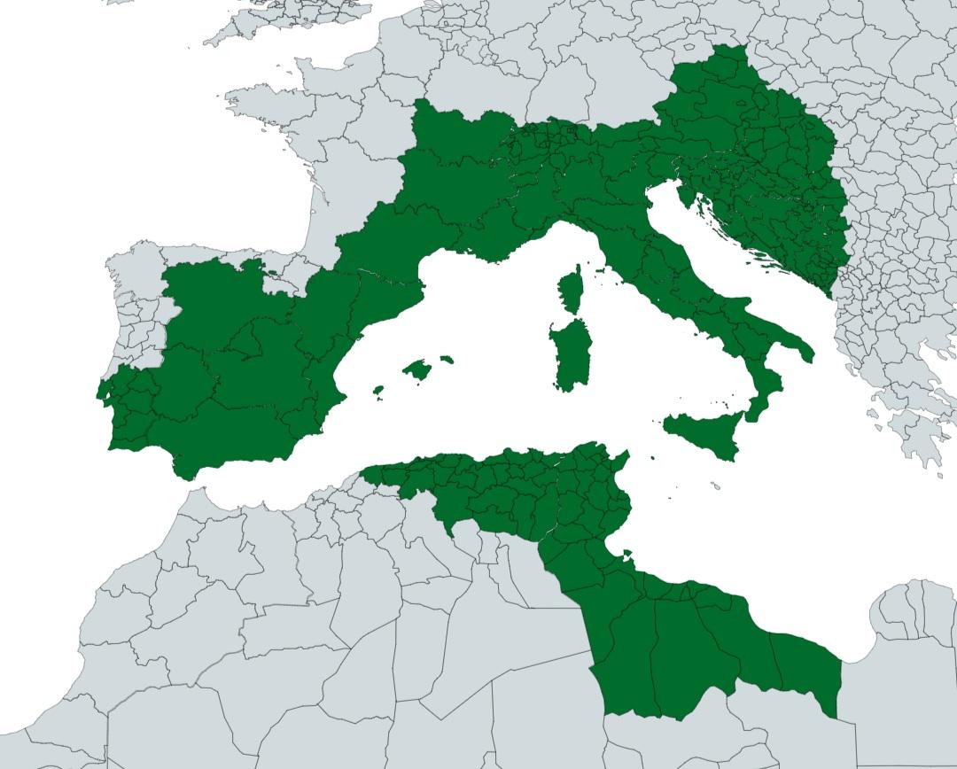 What if a United Gothic Empire replaced the Western Roman Empire? r