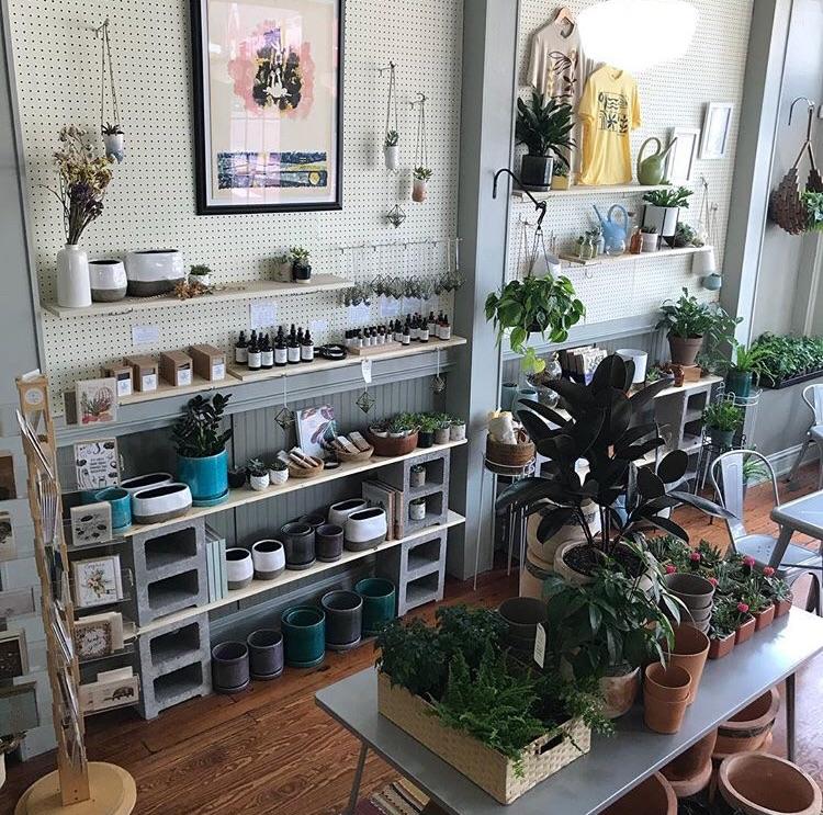 Apparently there is a HOUSEPLANT CAFE near me and their description is