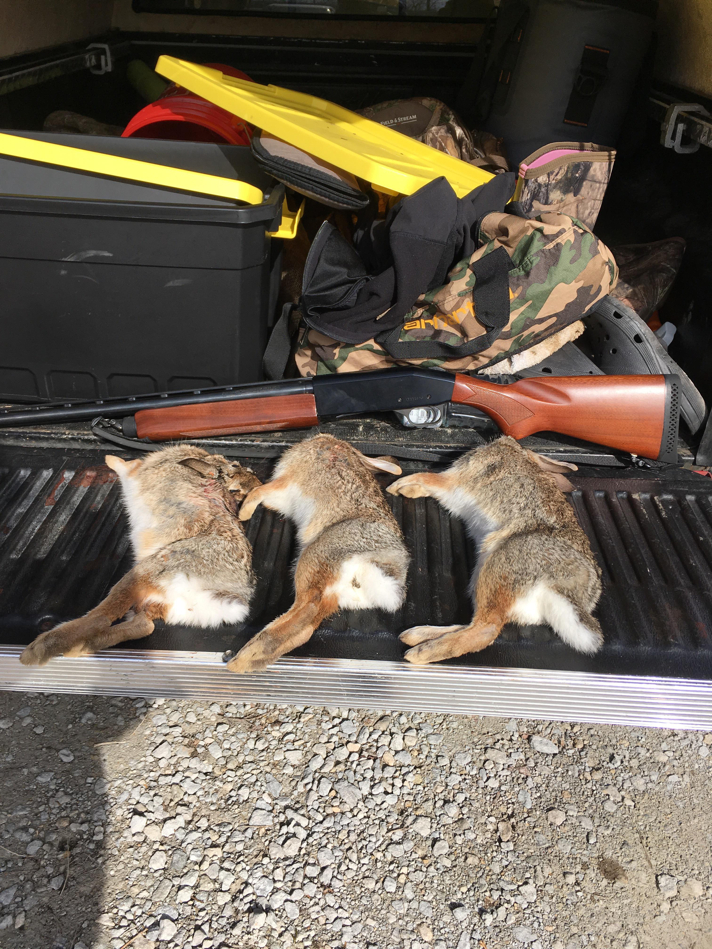 Had a good morning on public land in Southwest Ohio. r/Hunting