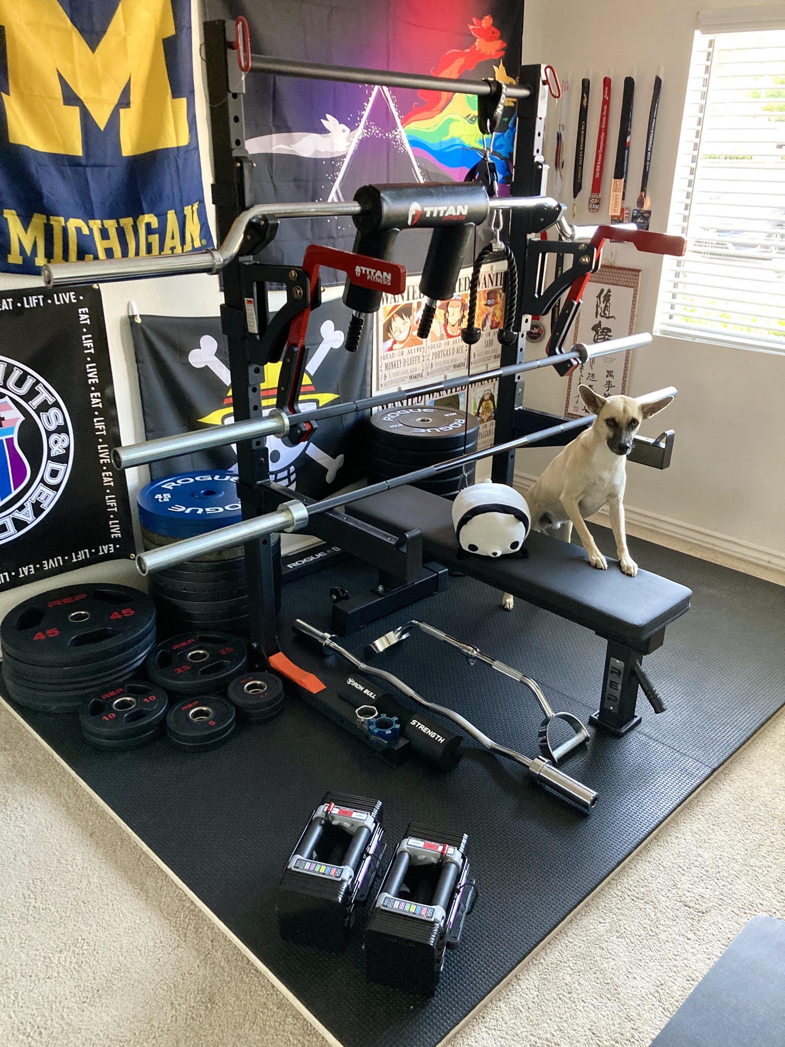 Compact apartment gym new toys (full list in comments) r/homegym