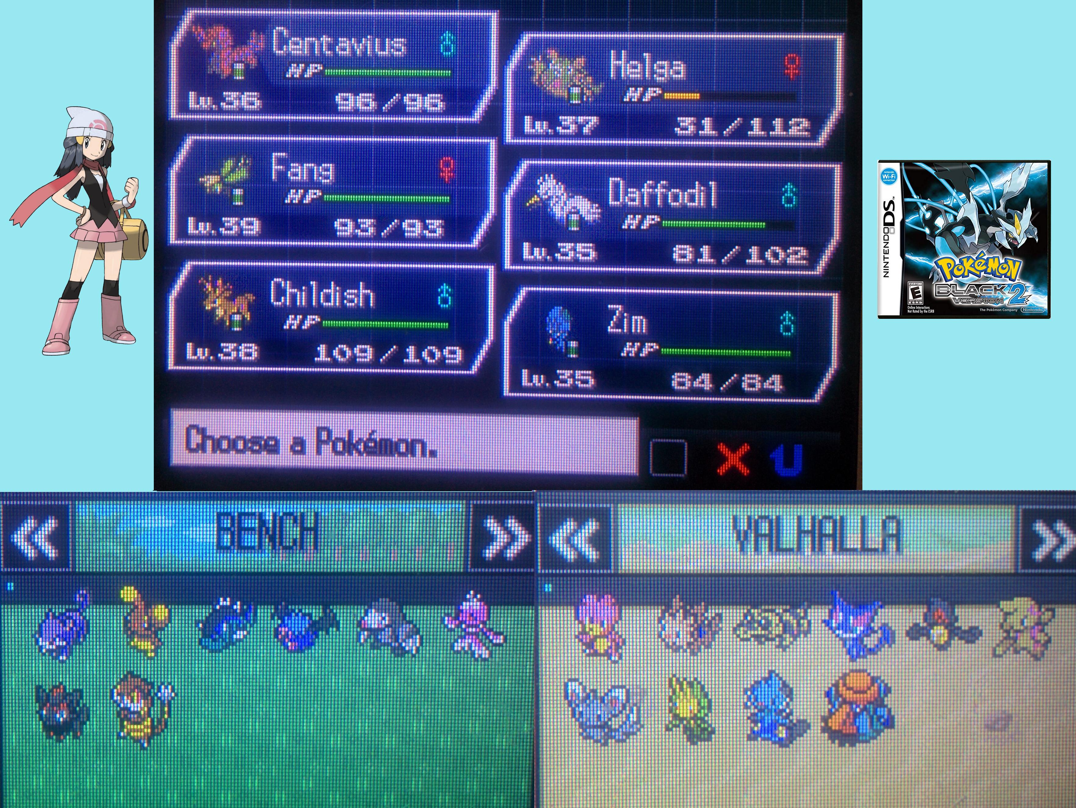 Swadloon's Black 2 The Situation After Defeating Skyla r/nuzlocke