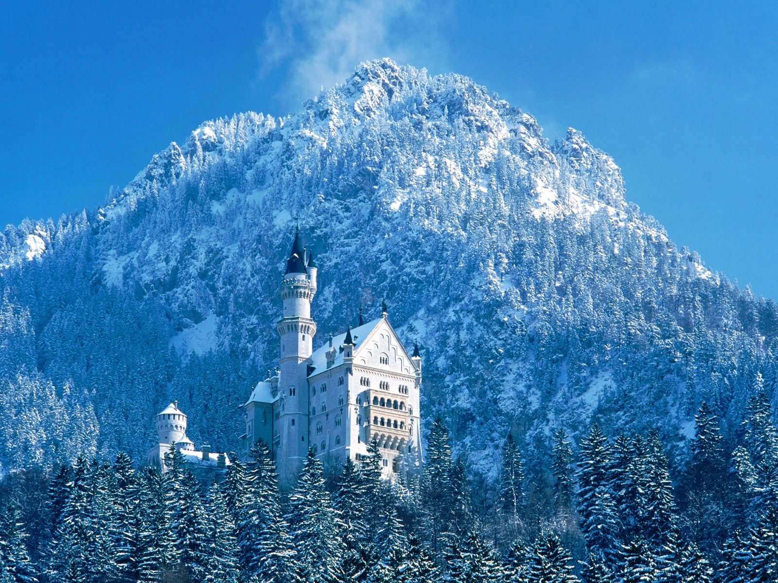 Neuschwanstein Castle on winter, in Germany r/castles