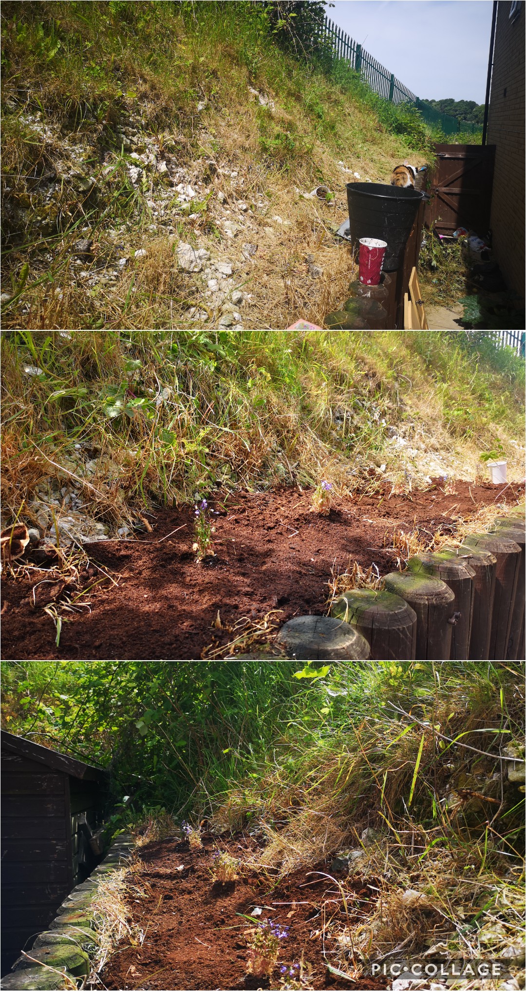 How To Turn A Grassy Area Into A Flower Bed at John Drew blog