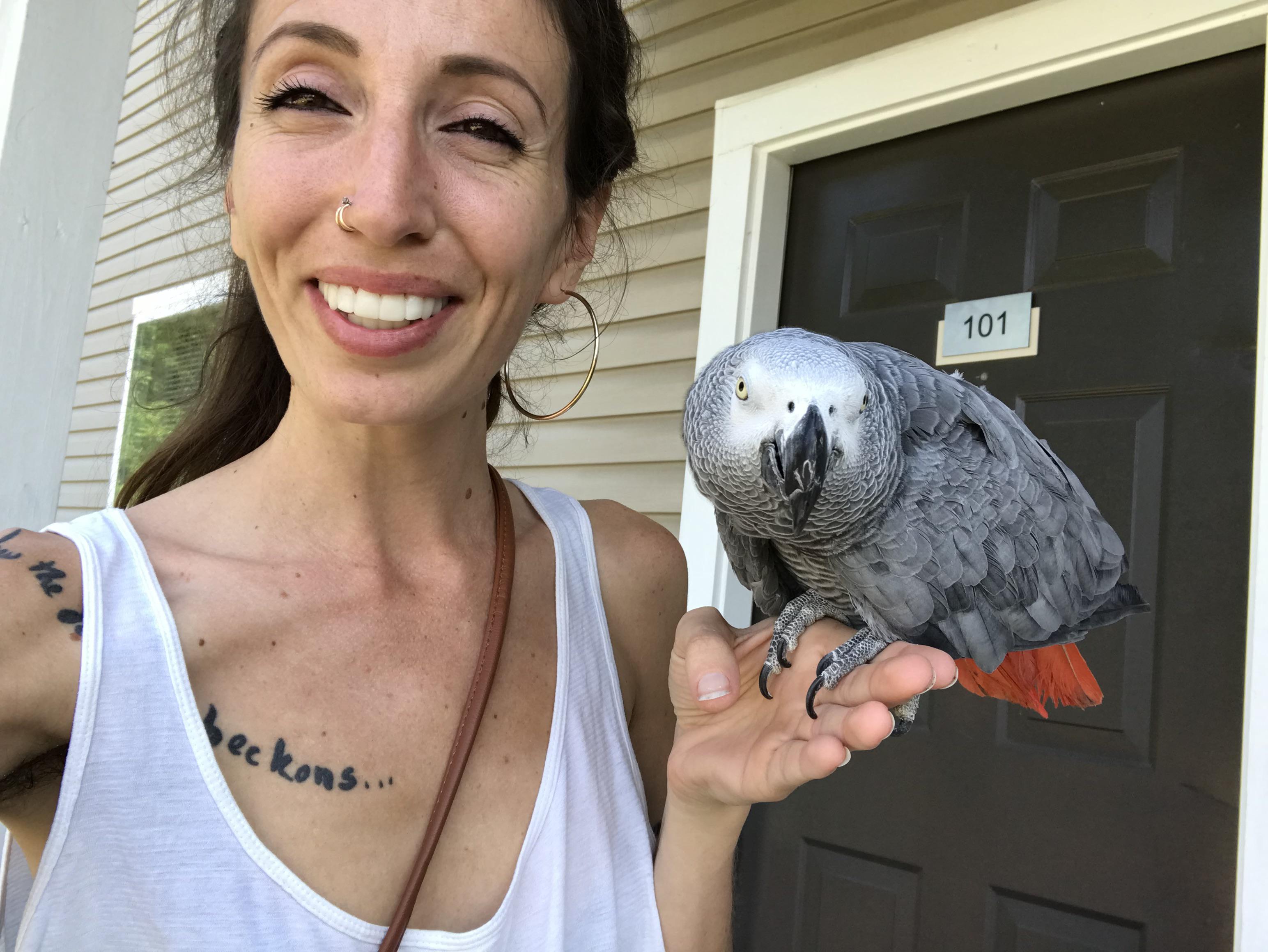 Homemade toys? r/AfricanGrey