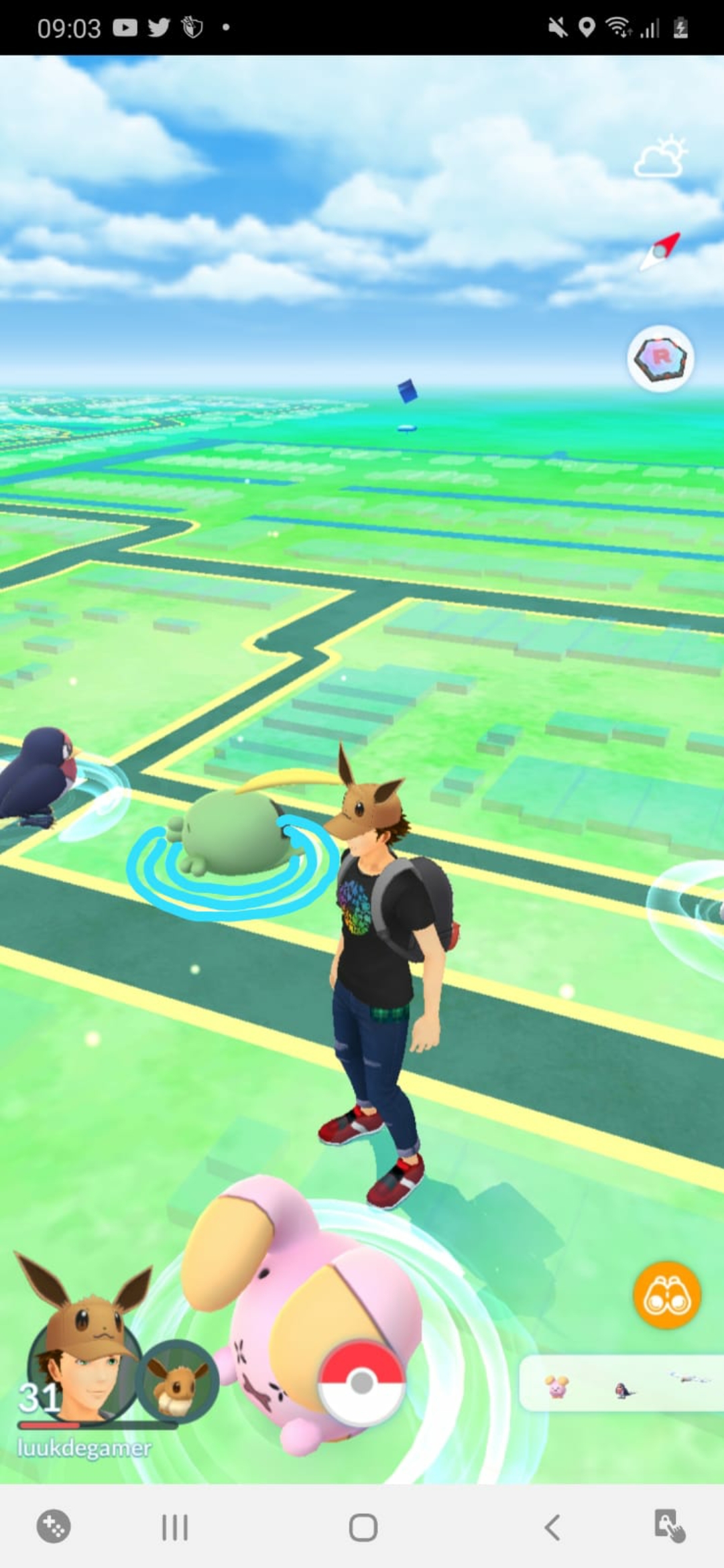 Make the rings around a pokemon blue if you need to catch them for a