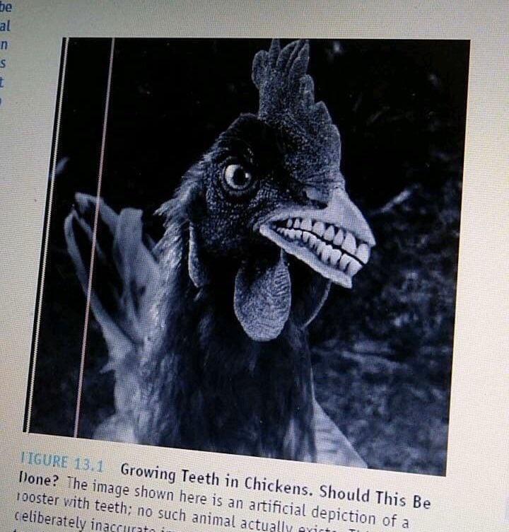 Chicken with teeth r/rickygervais