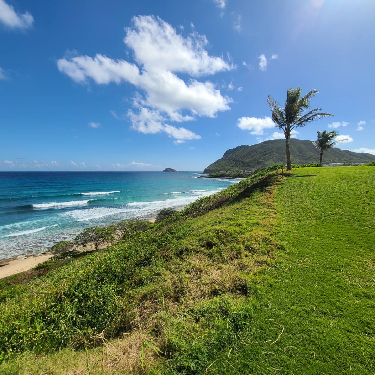 Beautiful view on East Side of Oahu. Kaneohe, Hawaii. (1440x1440) (OC
