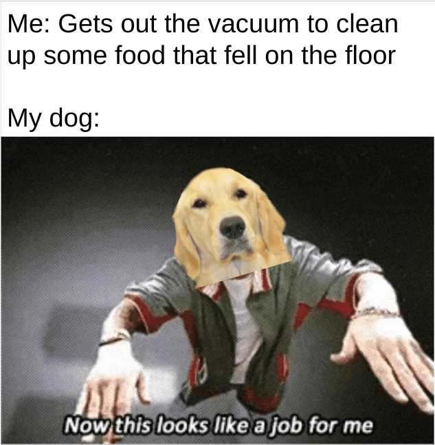 Vacuum Cleaner Animal Edition r/memes