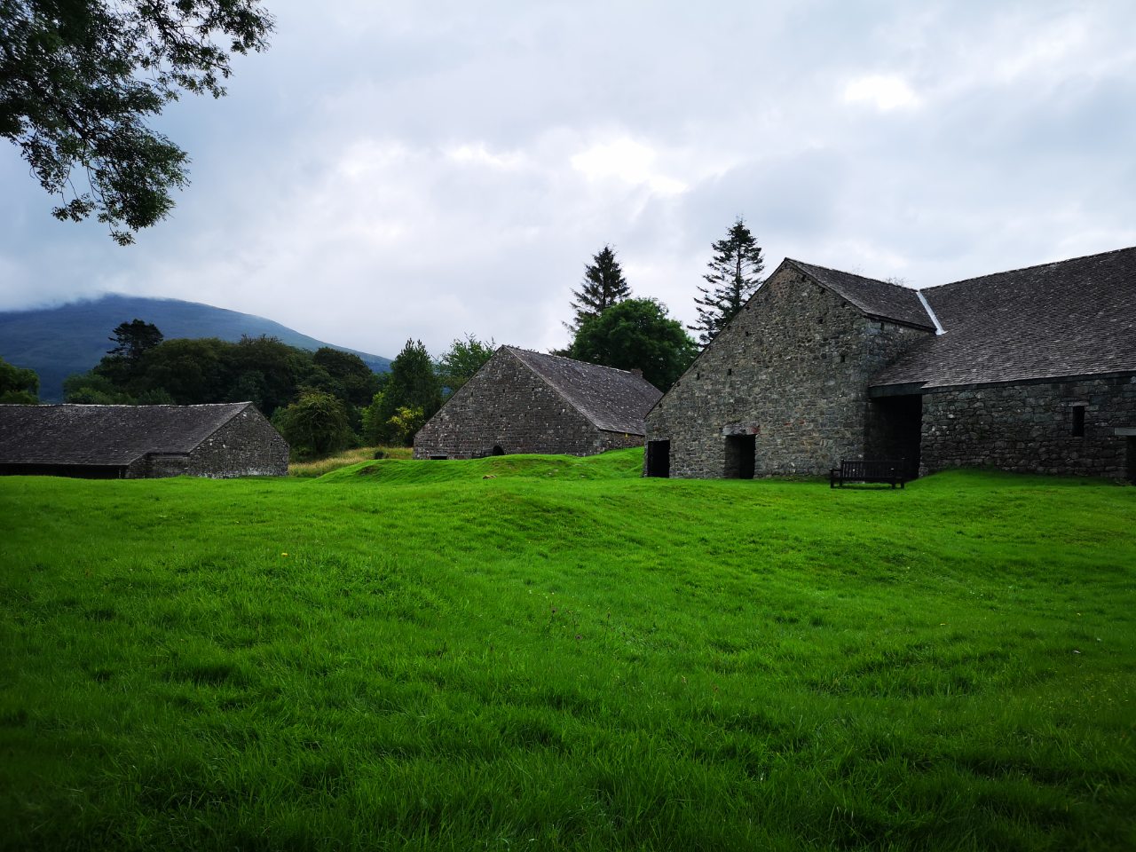The greenness of this grass in scotland r/pics