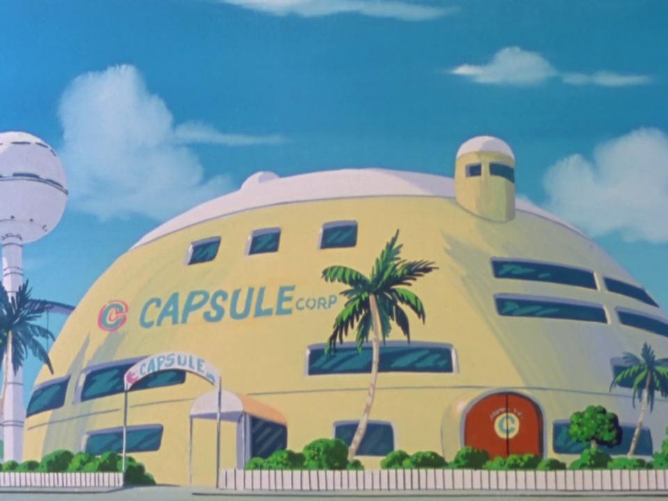 I love this house! Even though the layout might not be convenient. r/dbz