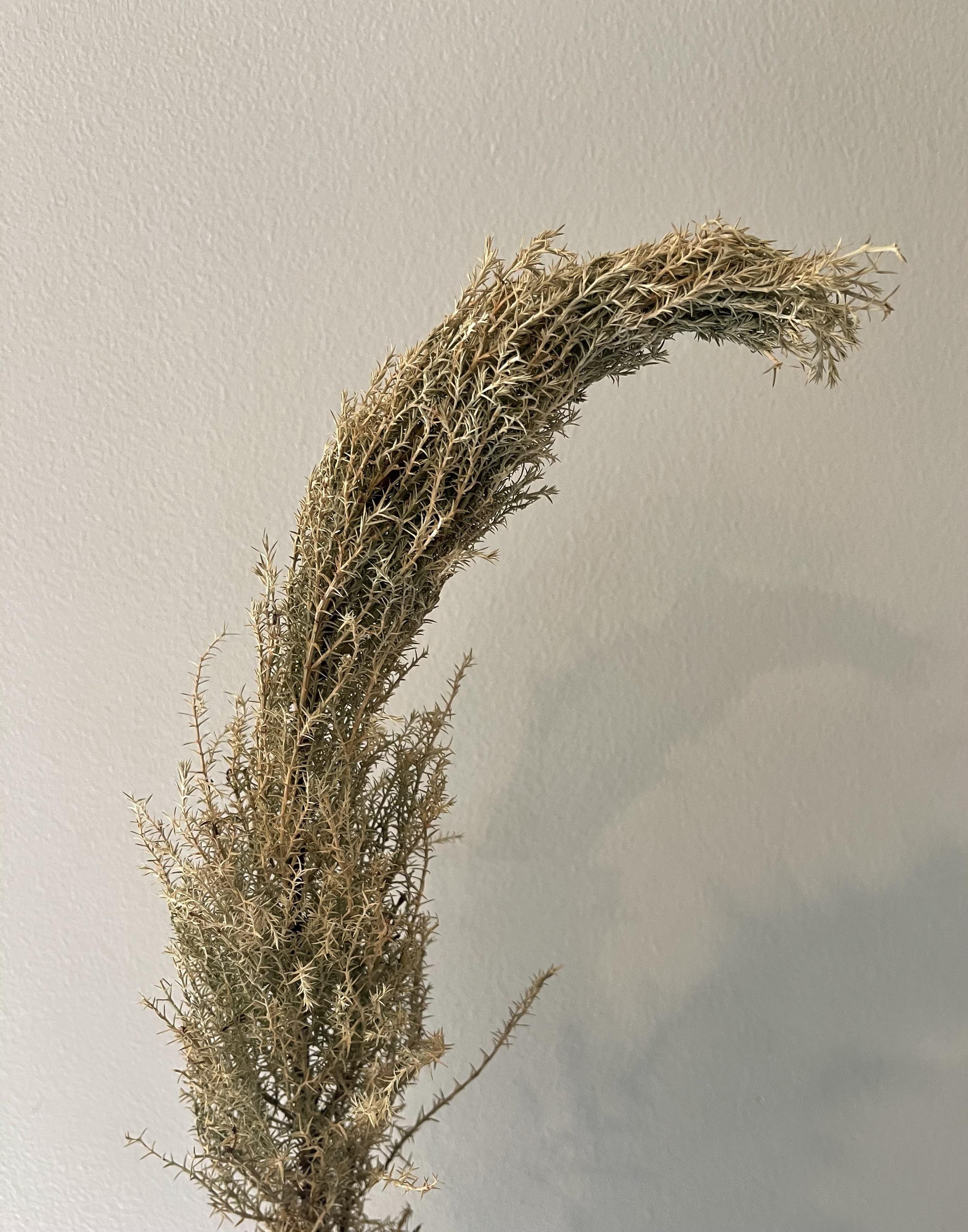 Posts by u/PhilODendron ・ popular.pics ・ Viewer for Reddit