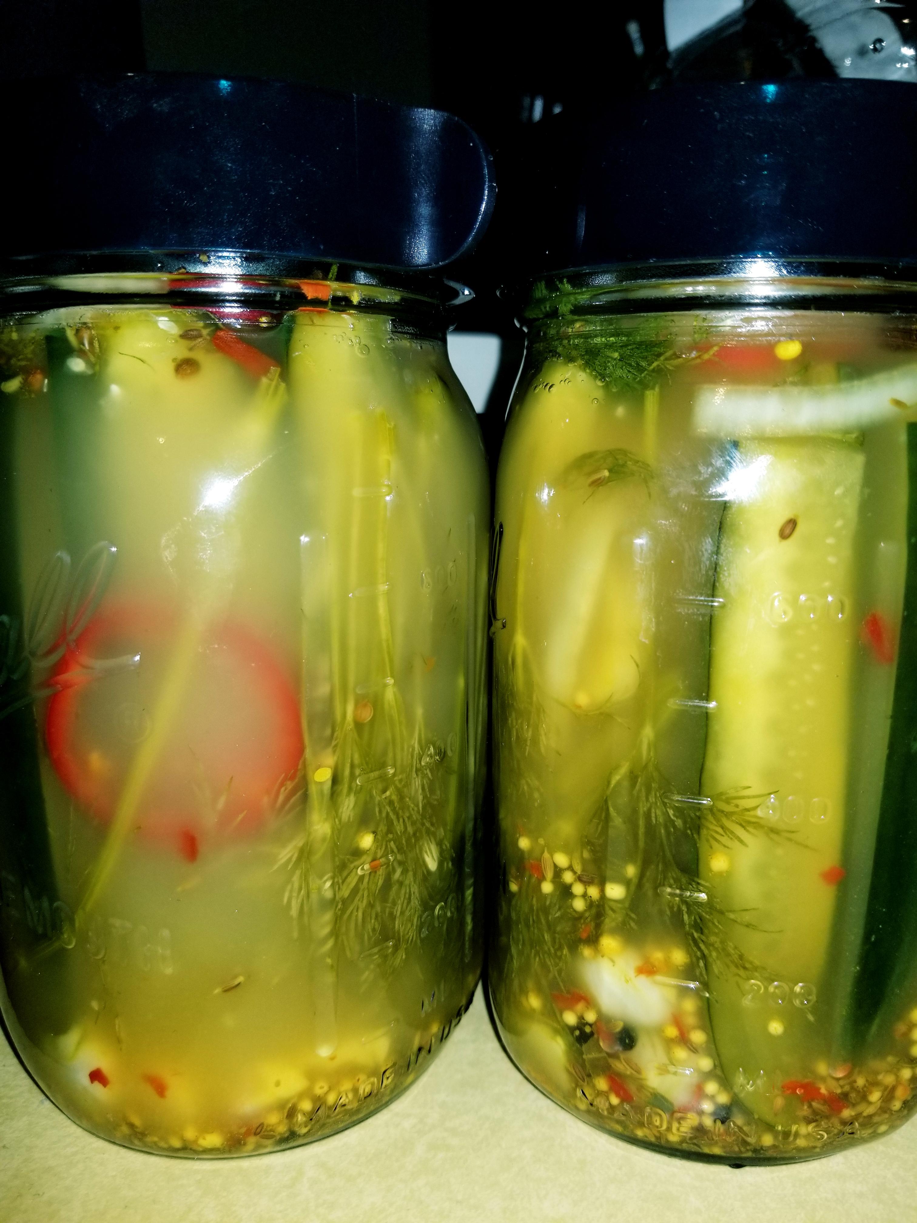 6 days Fermentation Sour Dill Pickles r/fermentation