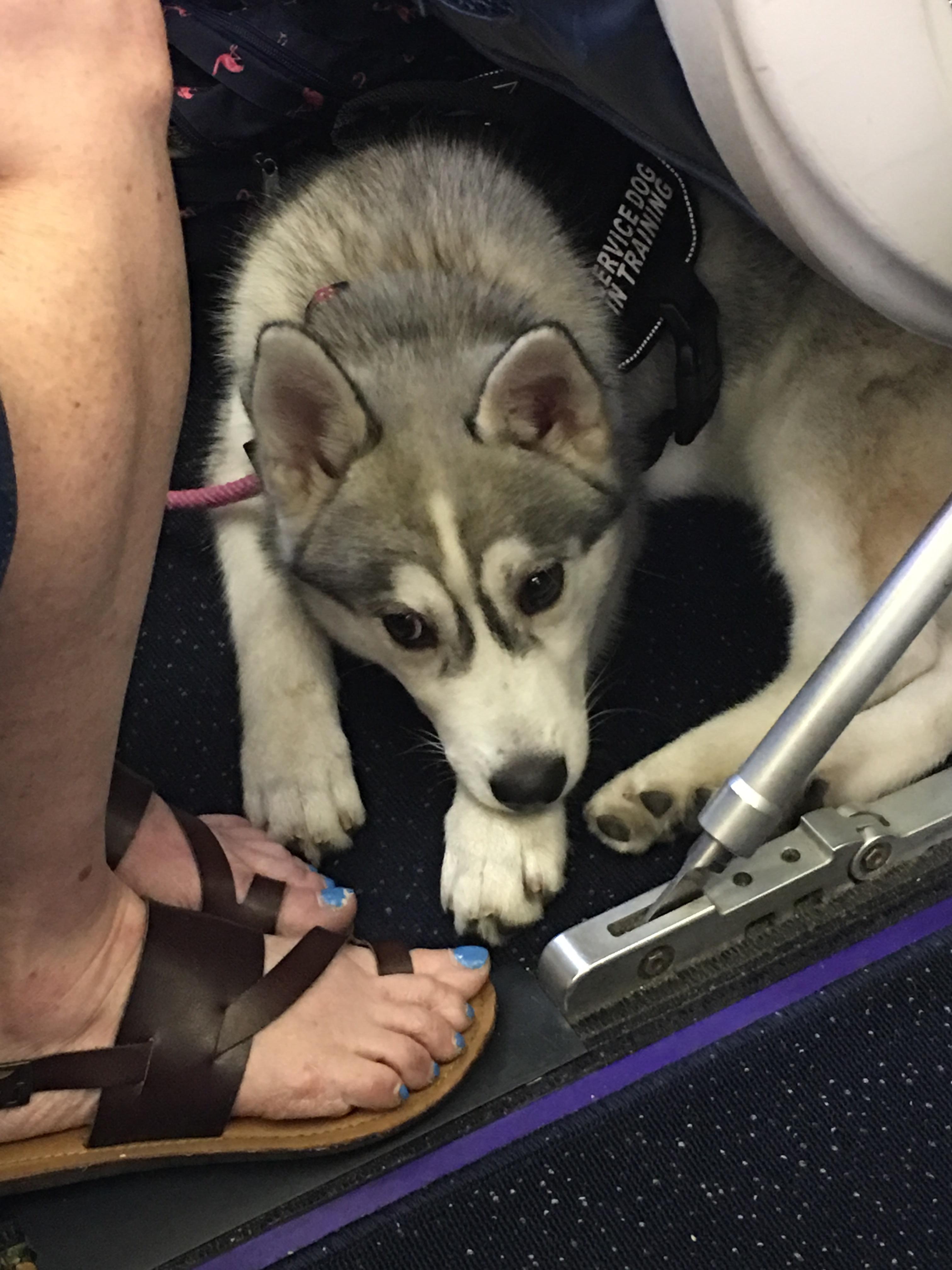 Reddit meet Zola r/aww