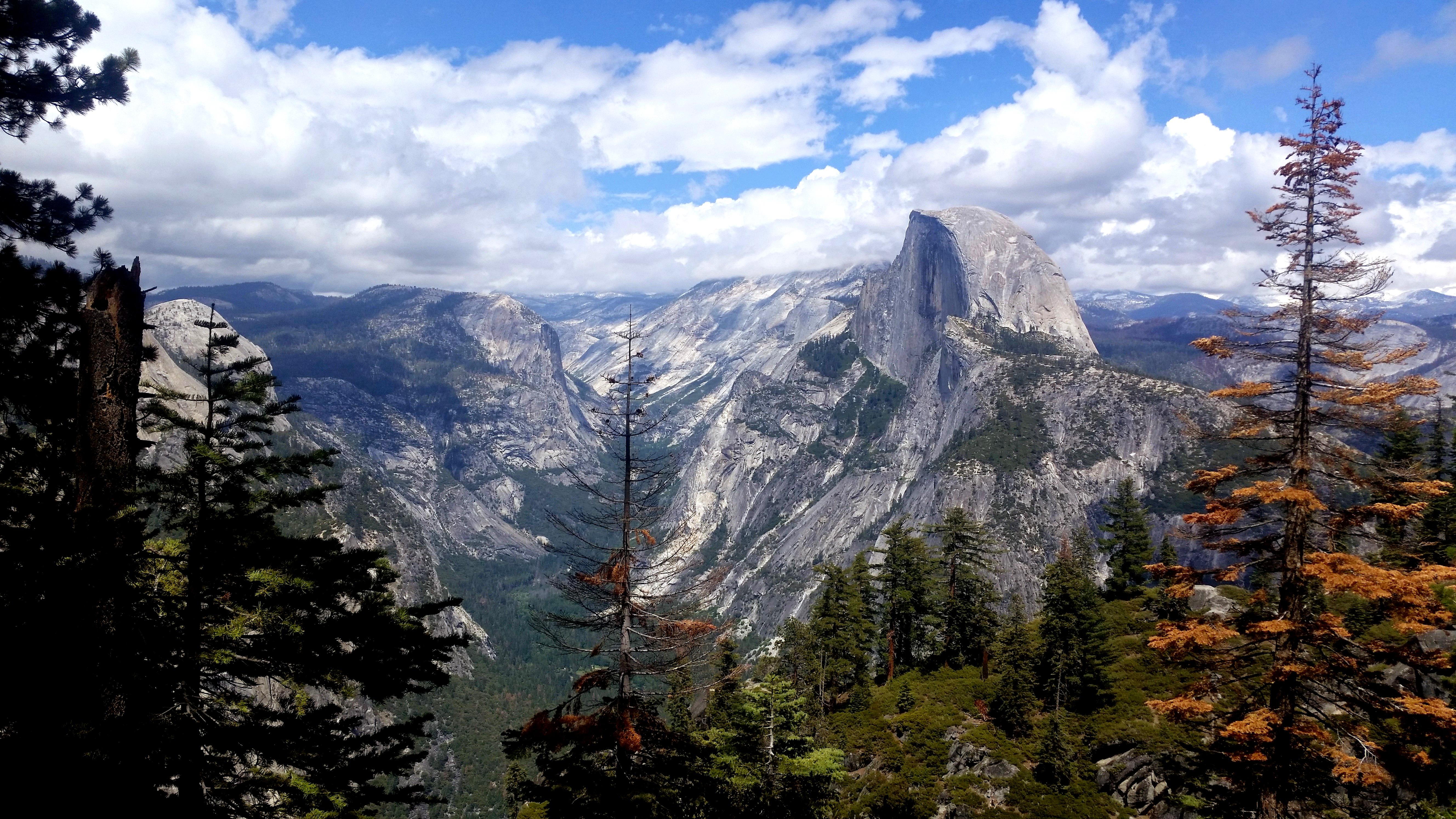 I snapped this photo in Yosemite on the Glacier Point Trail. It's been