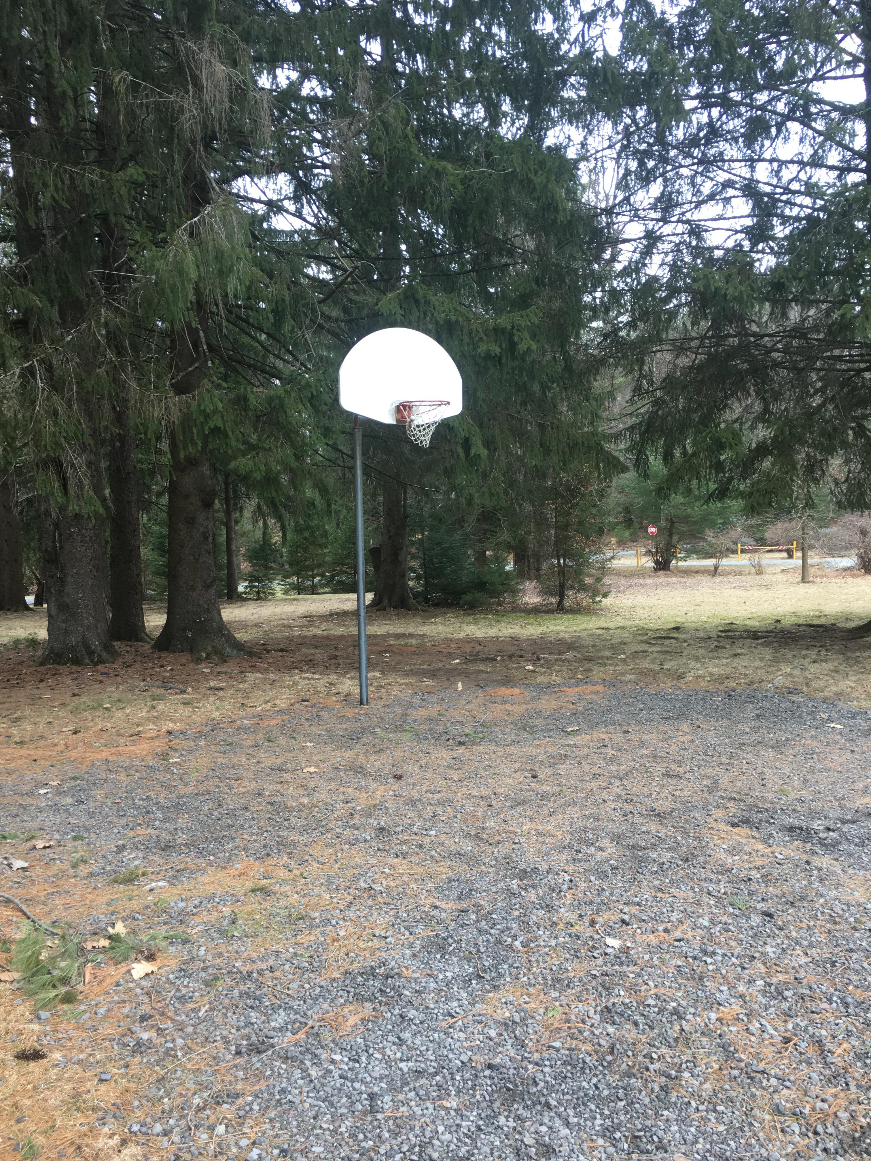 This basketball hoop with a gravel court at a state park r/CrappyDesign