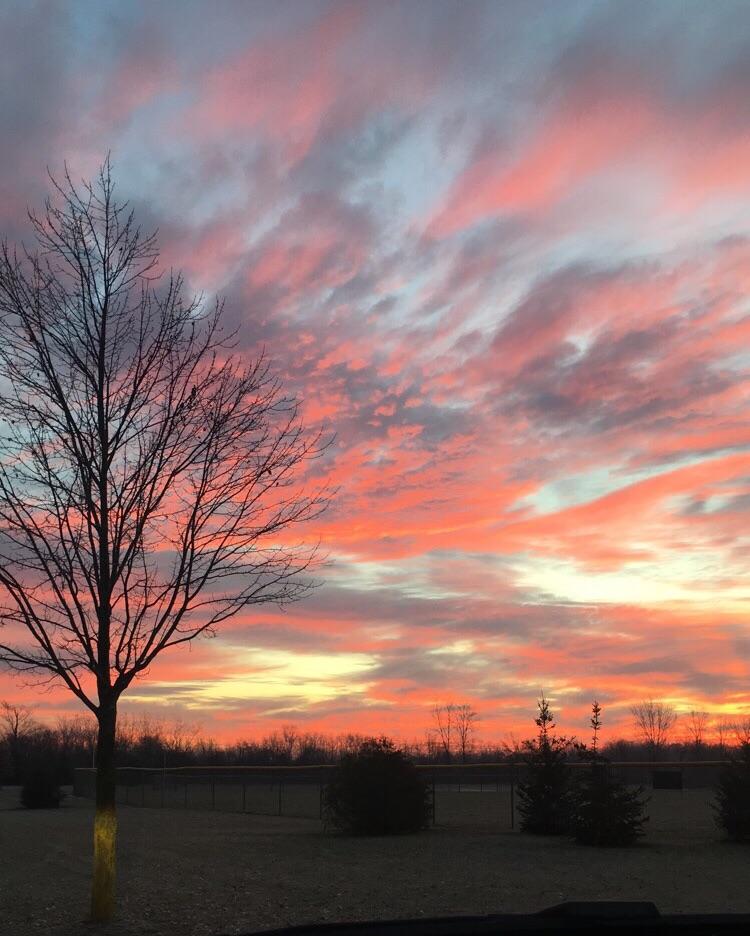 Michigan sunrise r/SkyPorn