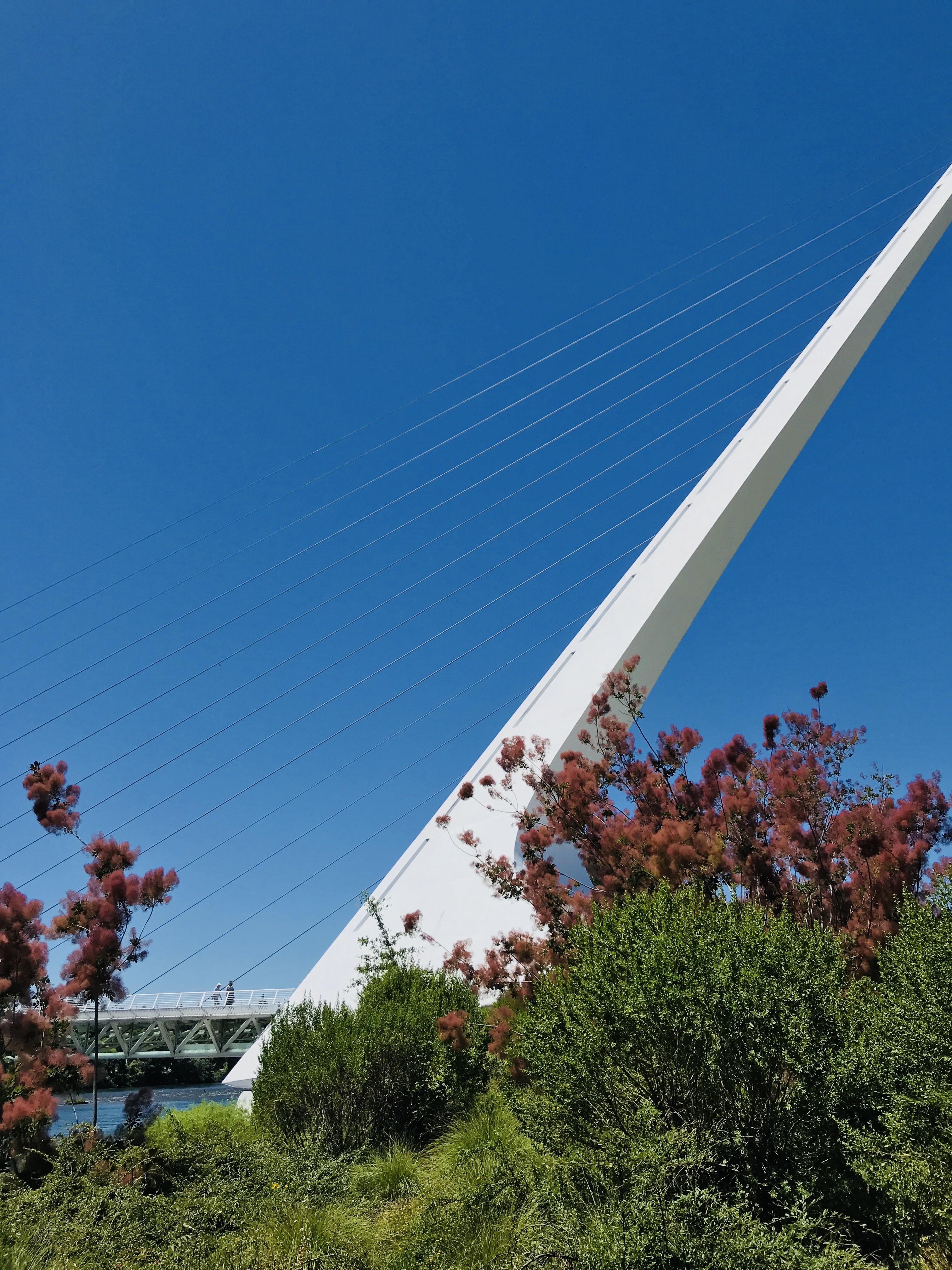 [OC] Sundial Bridge, Turtle Bay Discovery Park, Redding