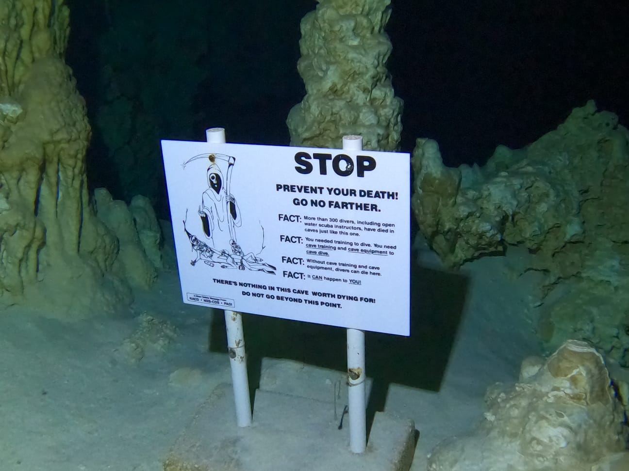 Cave Diving in Mexico pics