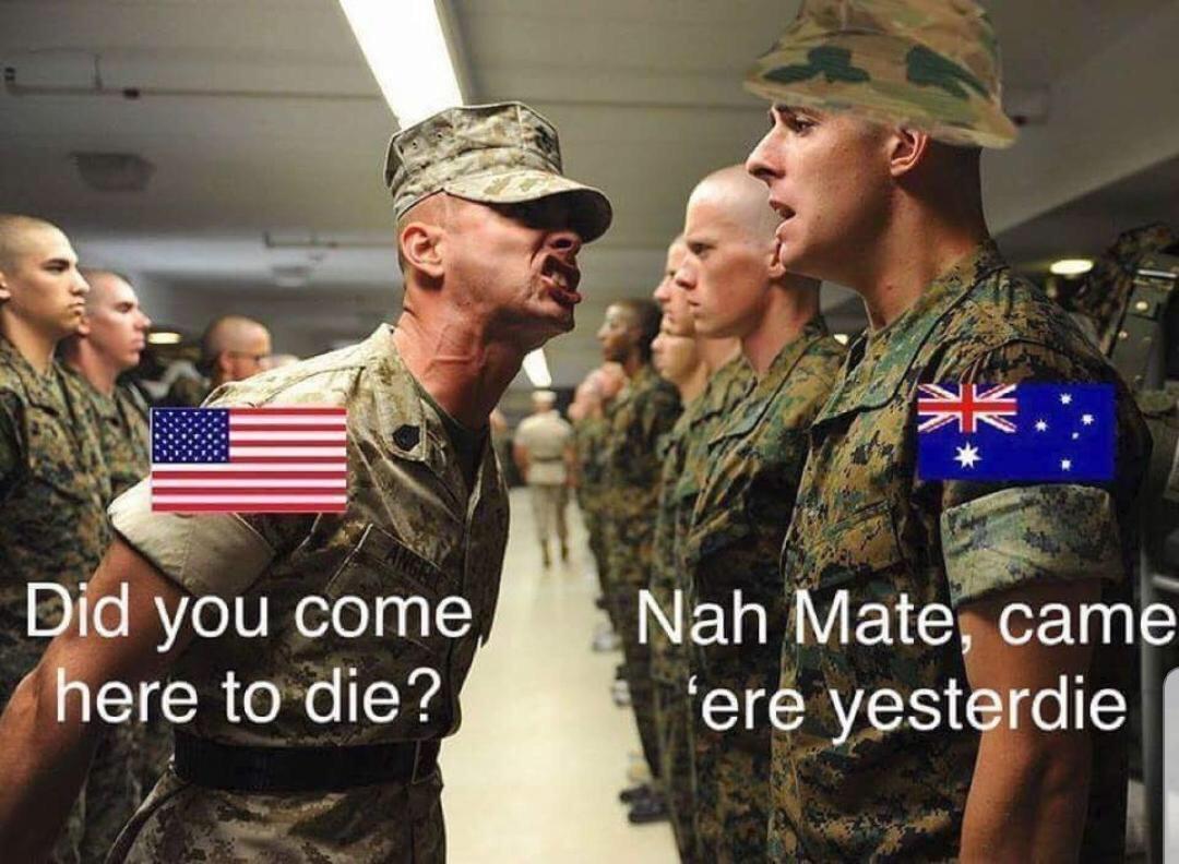 45 Hilarious Sirs Puns Punstoppable 🛑