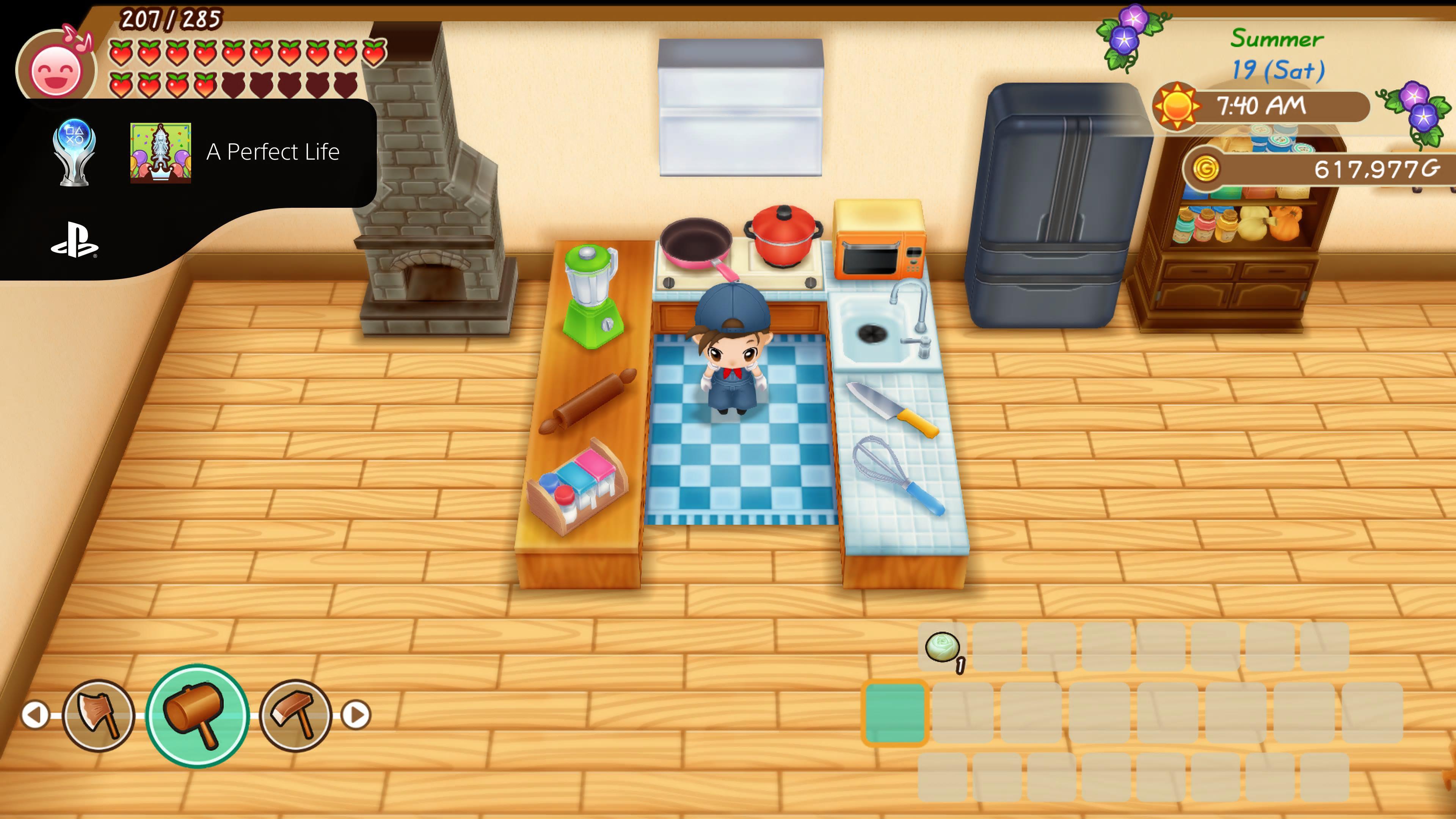 [Story of Seasons Friends of Mineral Town] Platinum 10 A Perfect