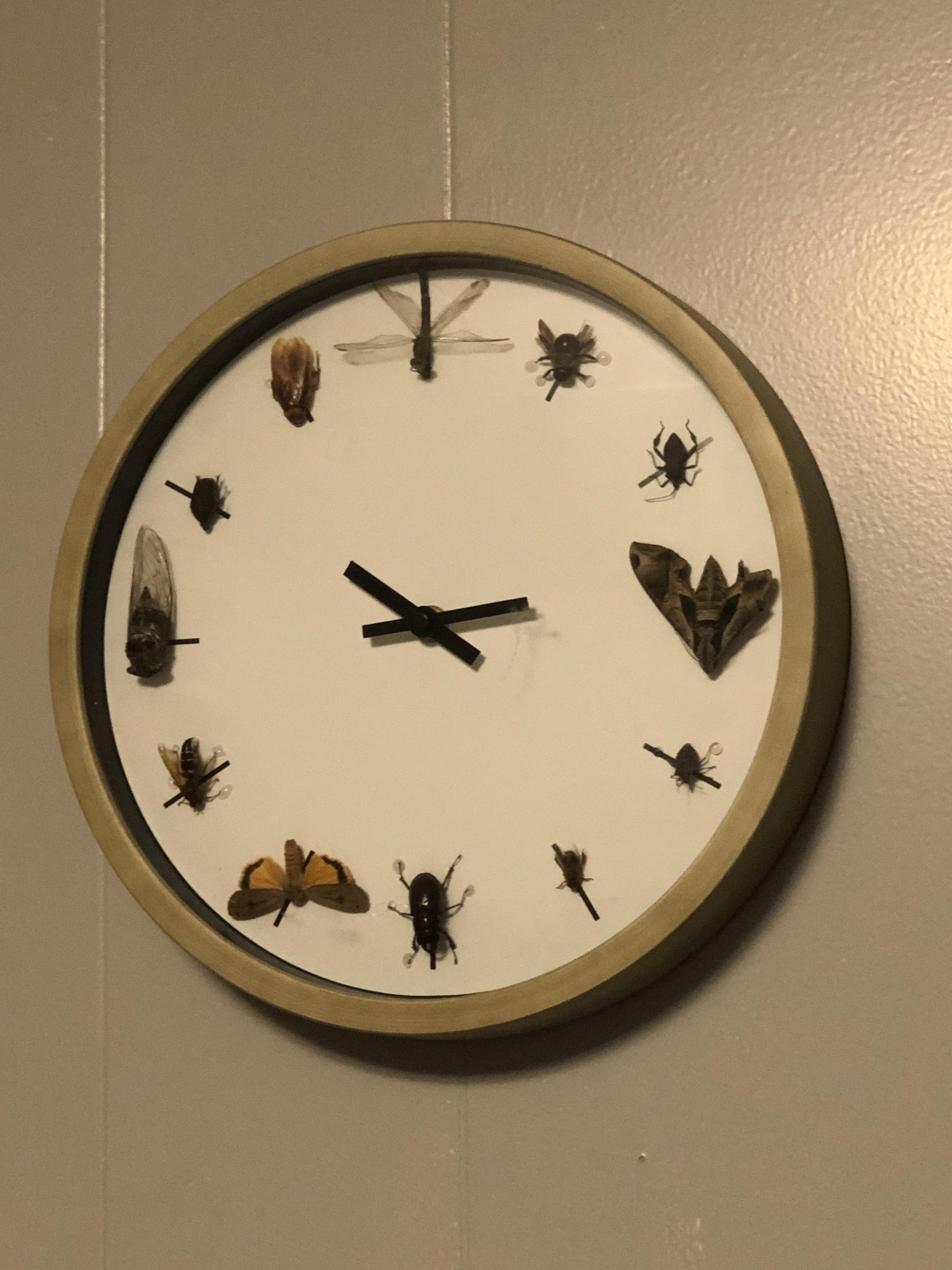 I made this super cool insect clock a while back and was inspired by