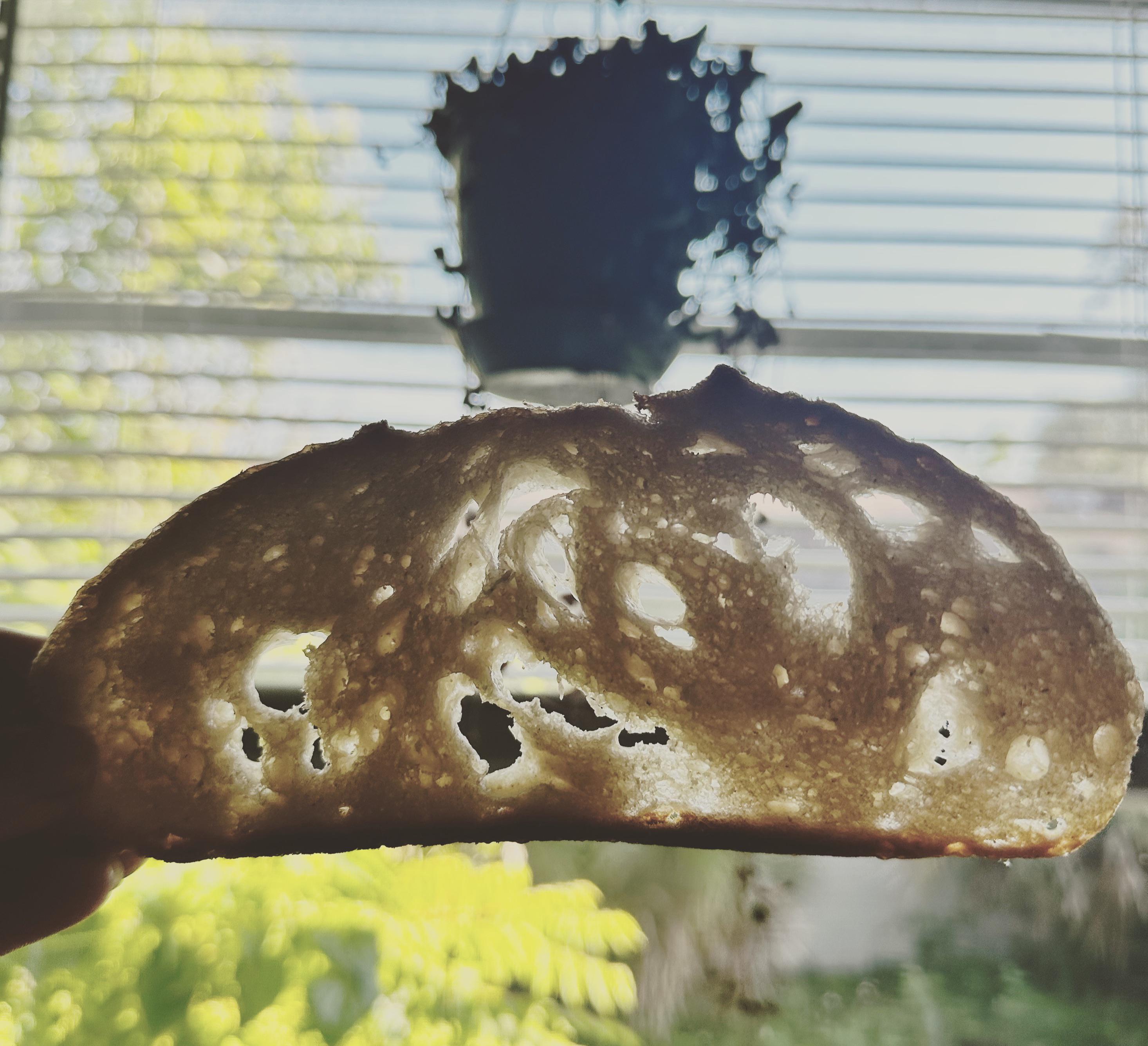 crumb bum r/Sourdough