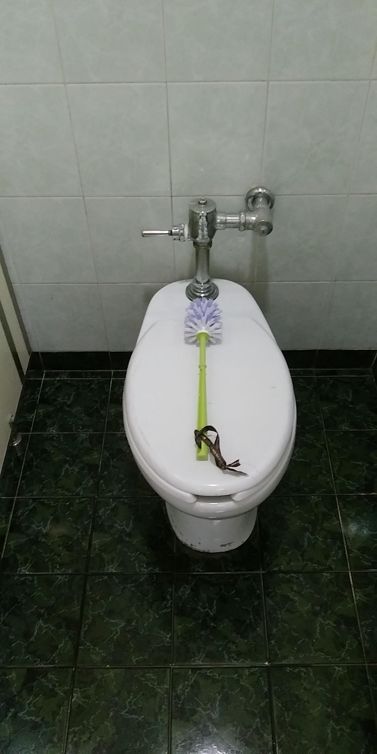 The way this toilet brush was laid on the bowl to indicate it's clogged