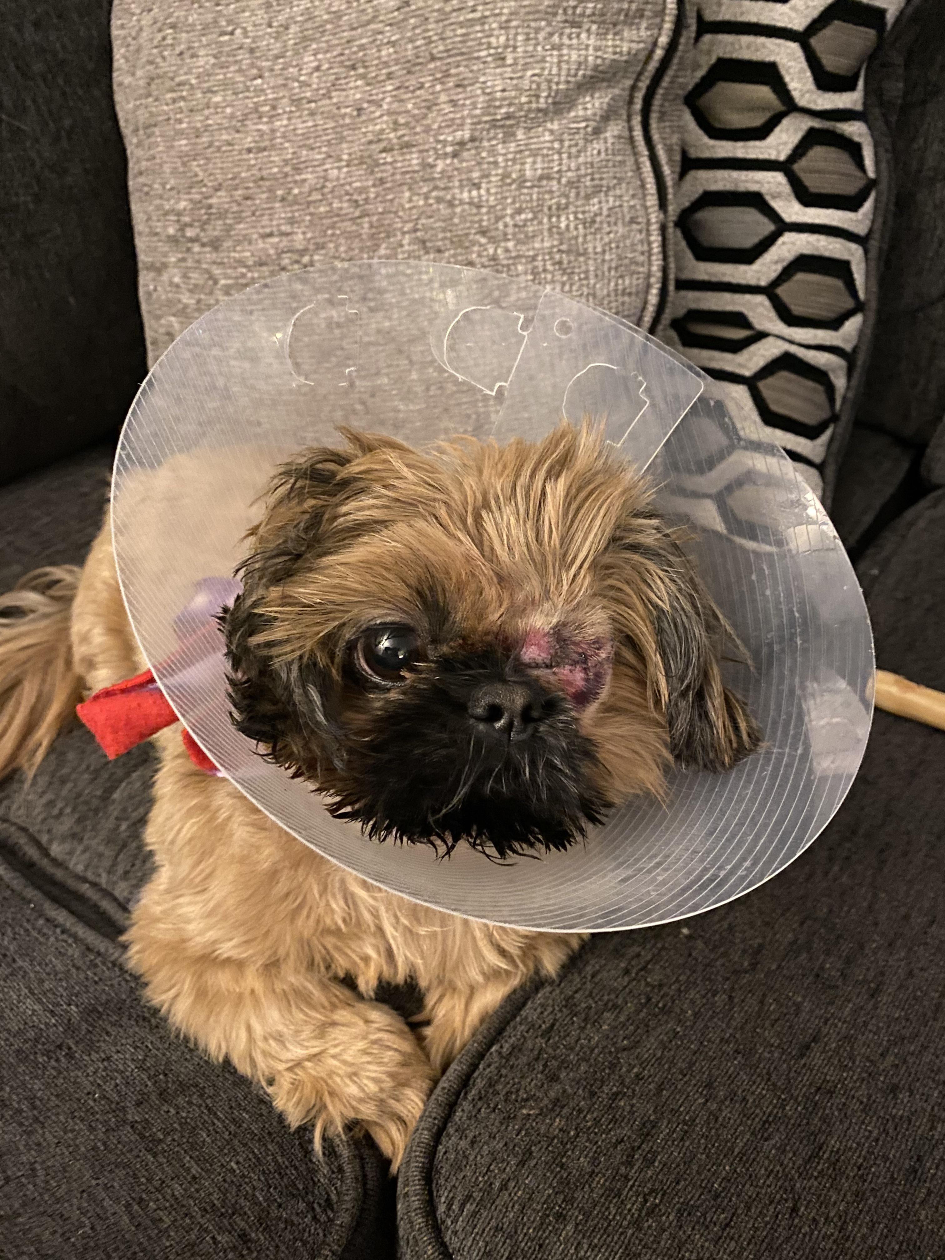 Maddi Pann Nudes The Truth, Facts, And What You Should Know