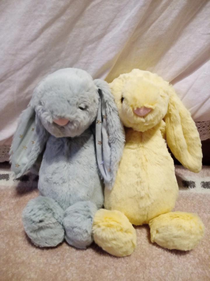 Two new babies I couldn't resist. Meet Bean (green) and Mellow (yellow