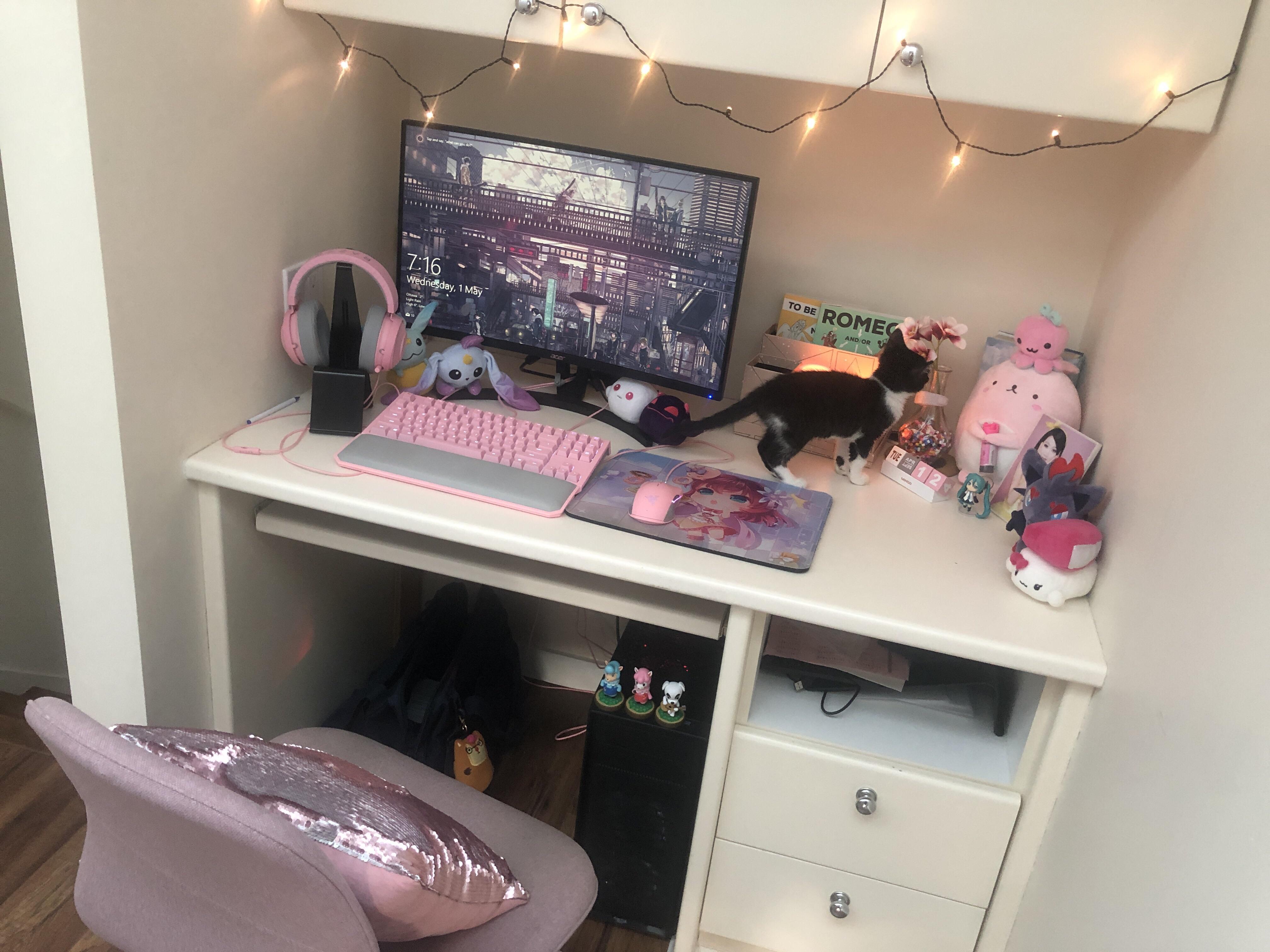 Finally finished my pink themed setup and desk place! r/GirlGamers