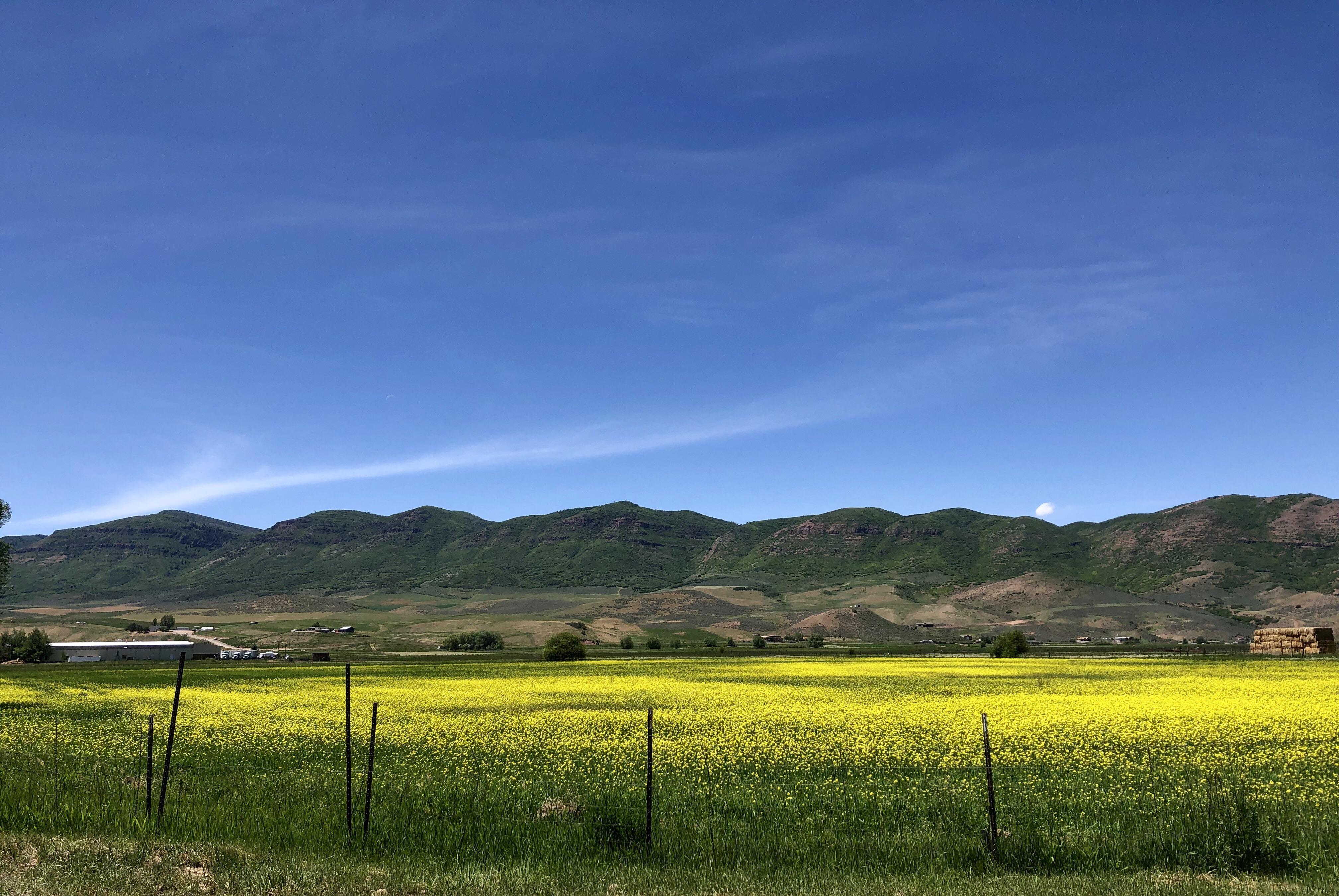 County, Utah, earlier today. r/Utah