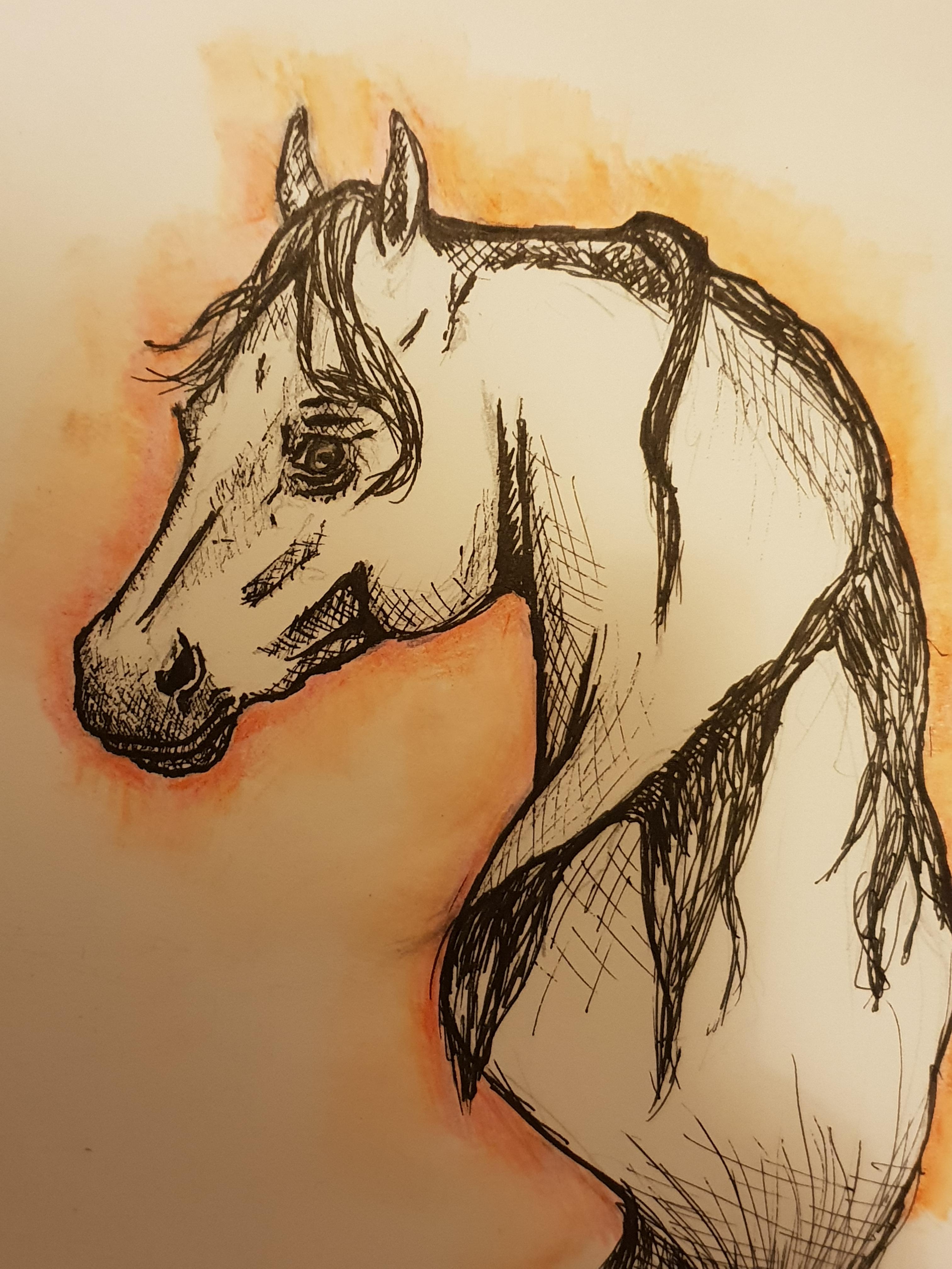 Horse doodle. r/Horses