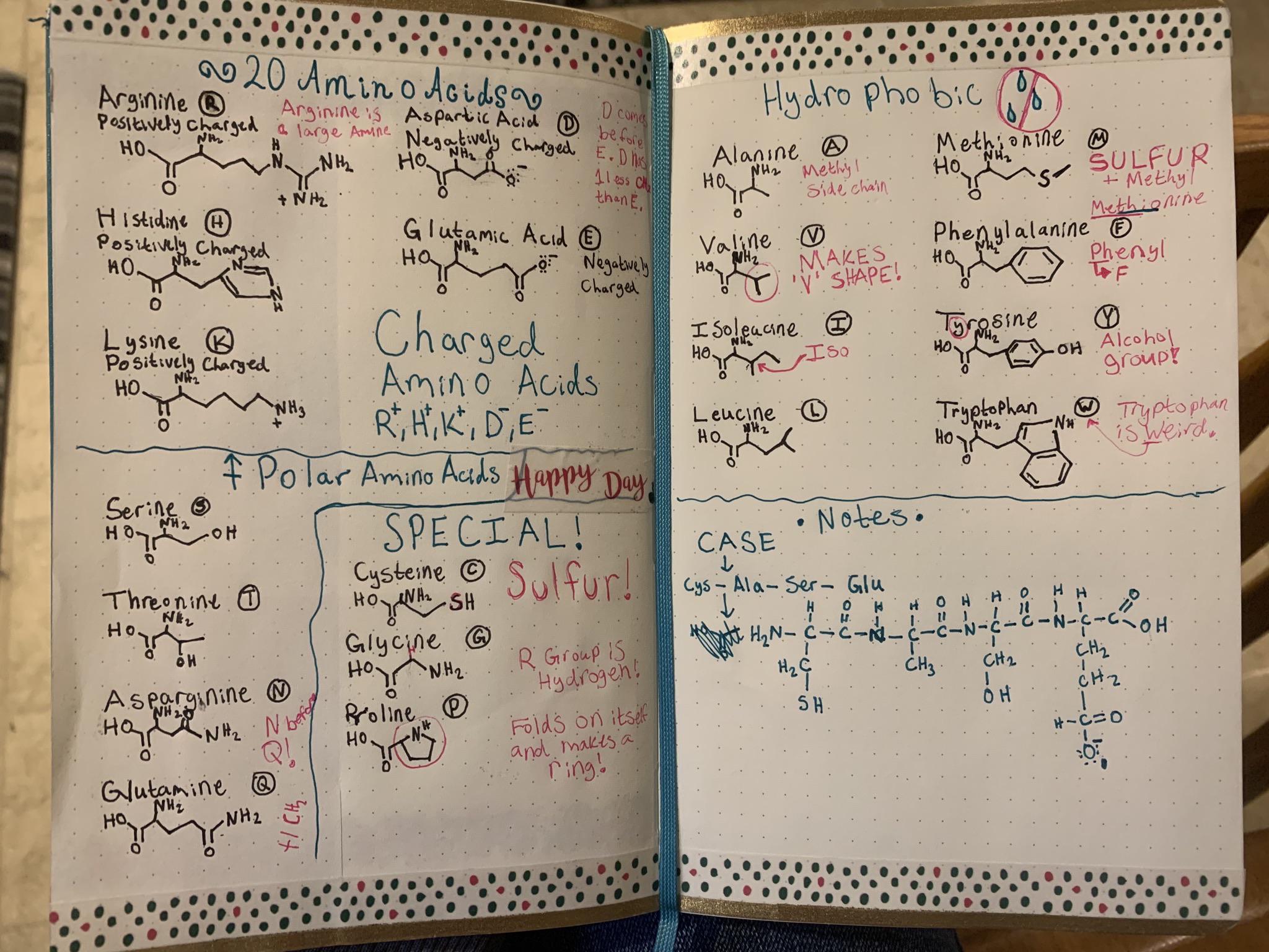 Learned my amino acids using this layout r/bulletjournal