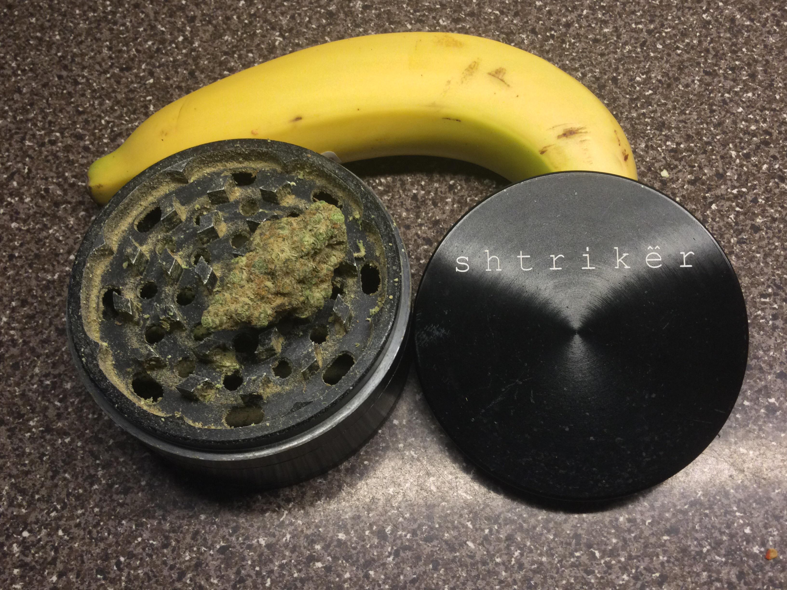 Ozone Cake mints Chonk! r/ILTrees