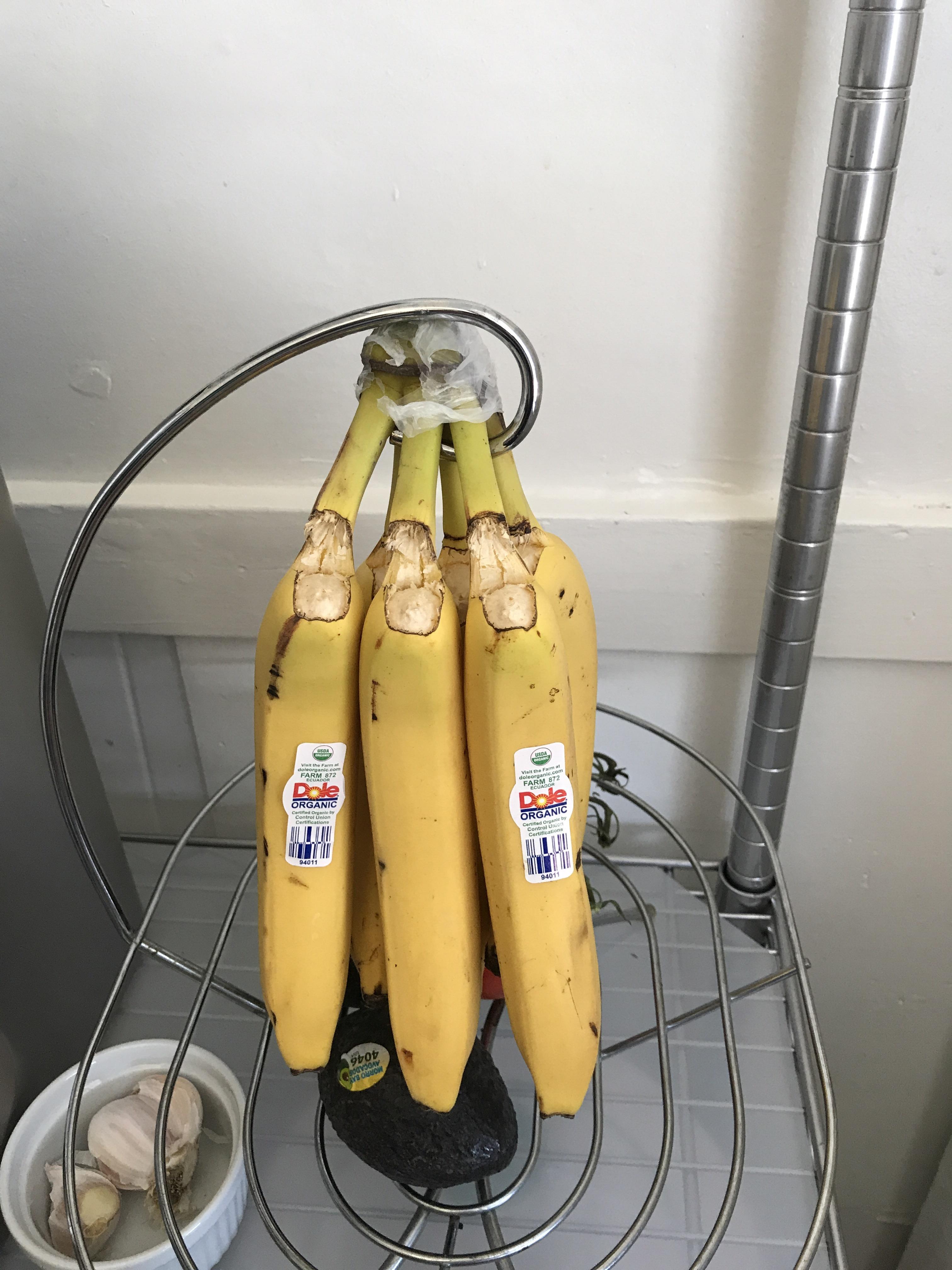 My banana holder keeping the bananas fresh r/mildlyinfuriating