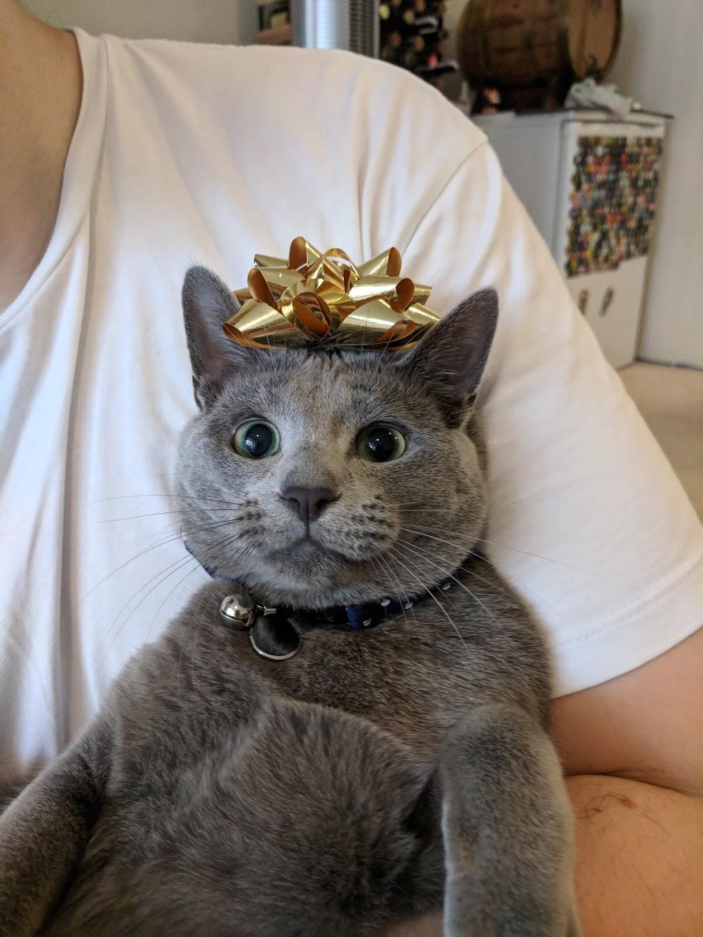 Its Katyas 1st Birthday today! Couldnt find a party hat