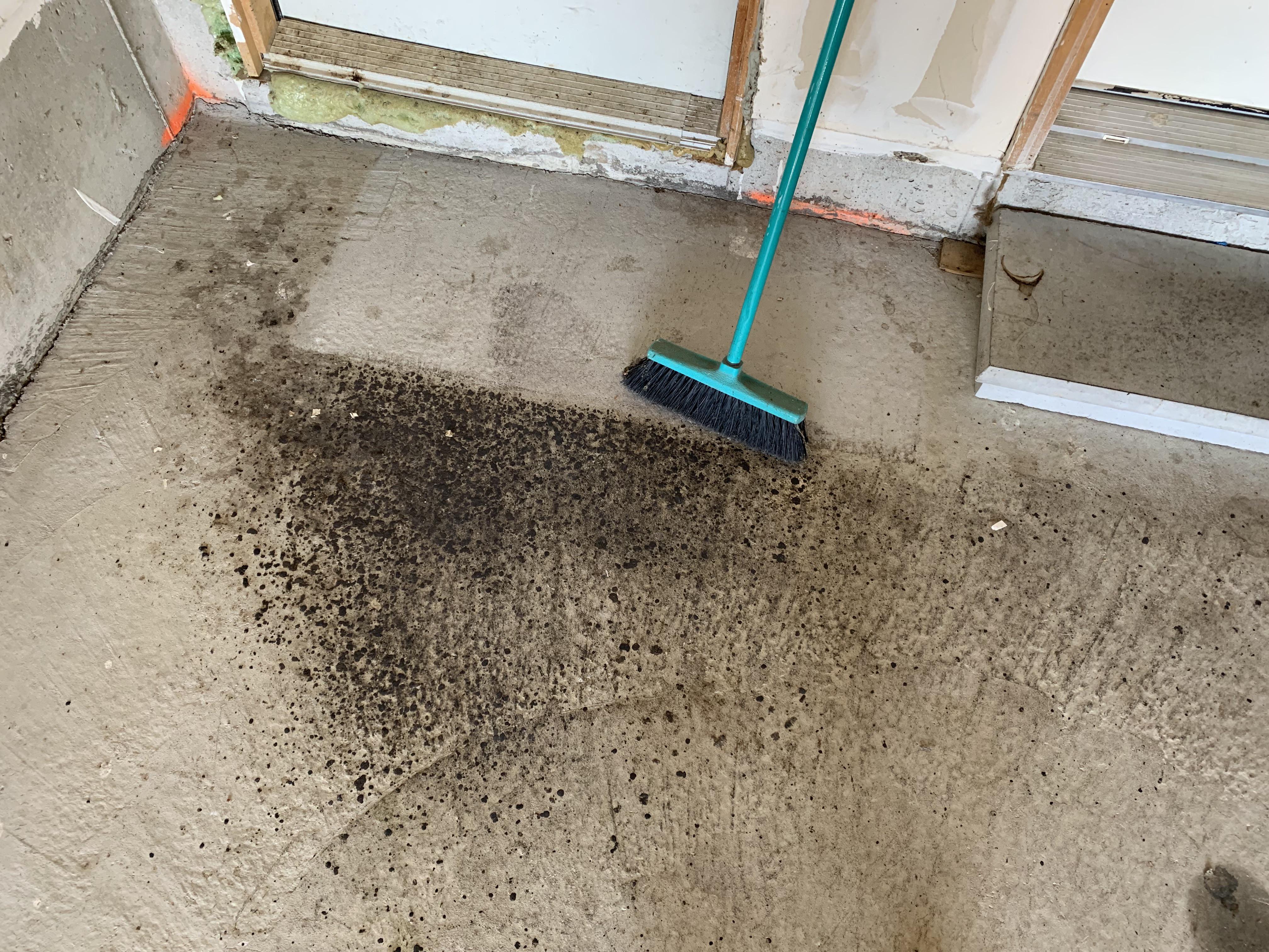 Moved into a new place and this black stuff is all over the garage and