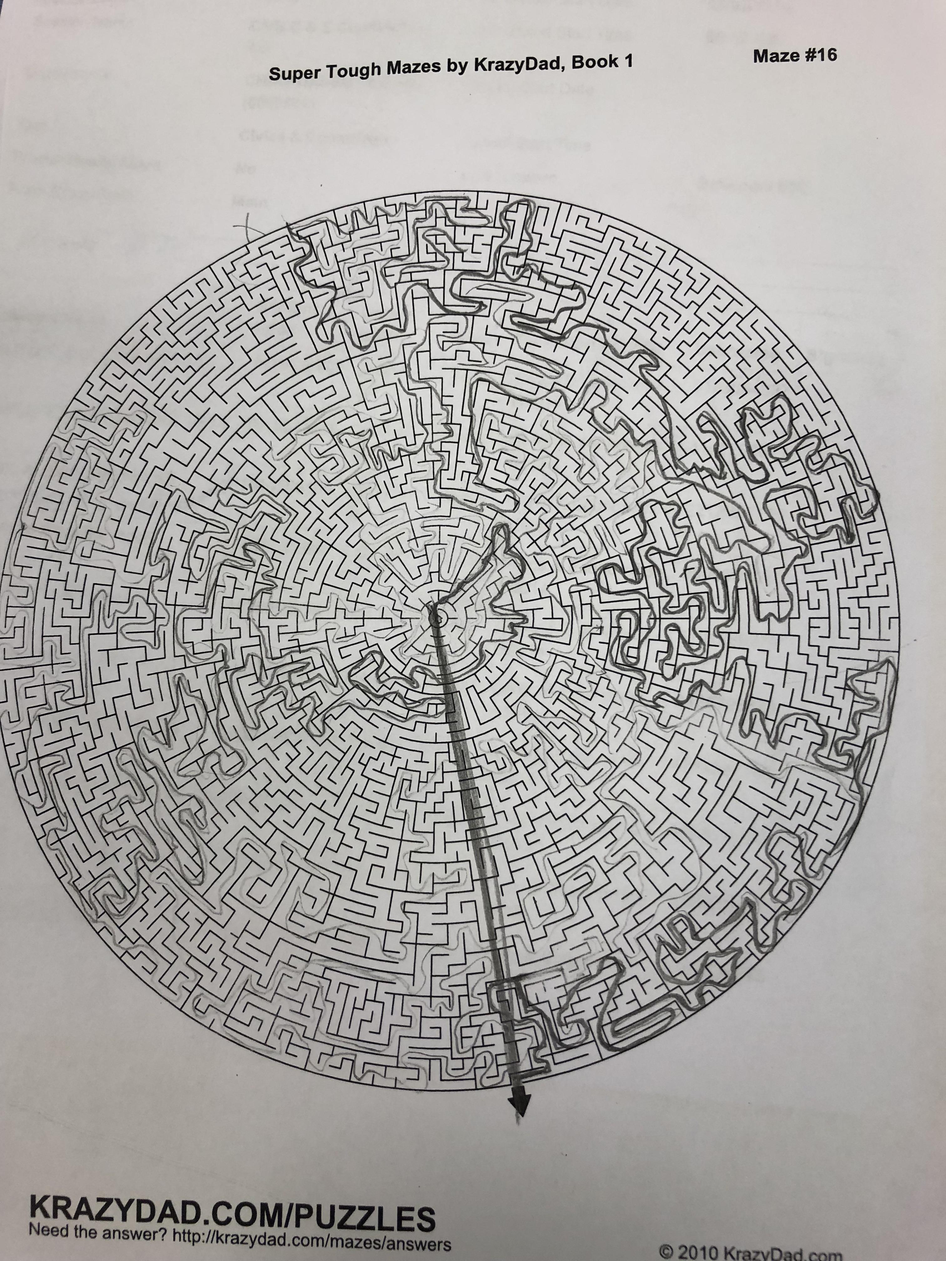 My student couldn’t figure out this maze, and after 30 minutes of