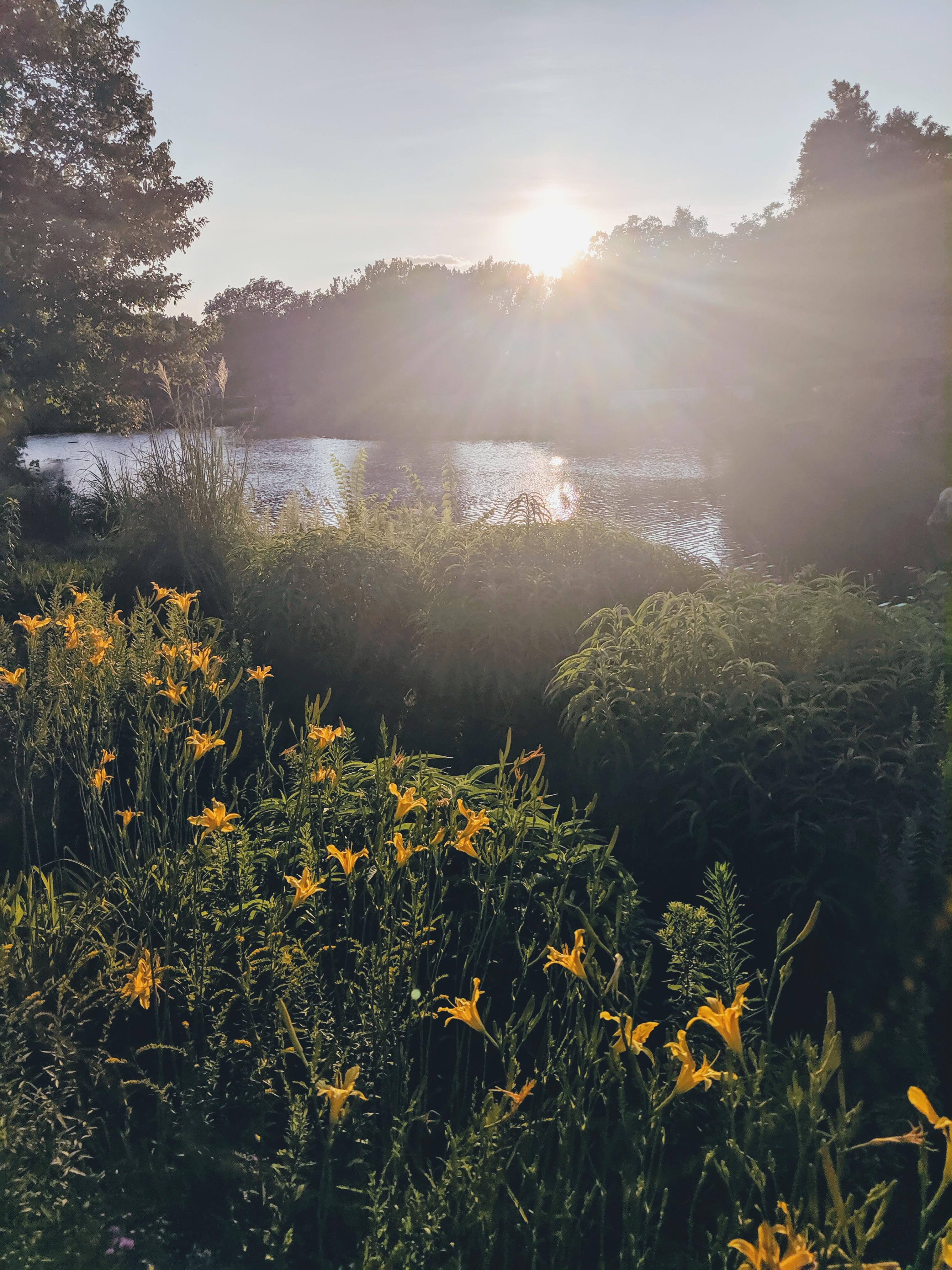 Pretty proud of this pic I took at Swan Lake today. r/tulsa