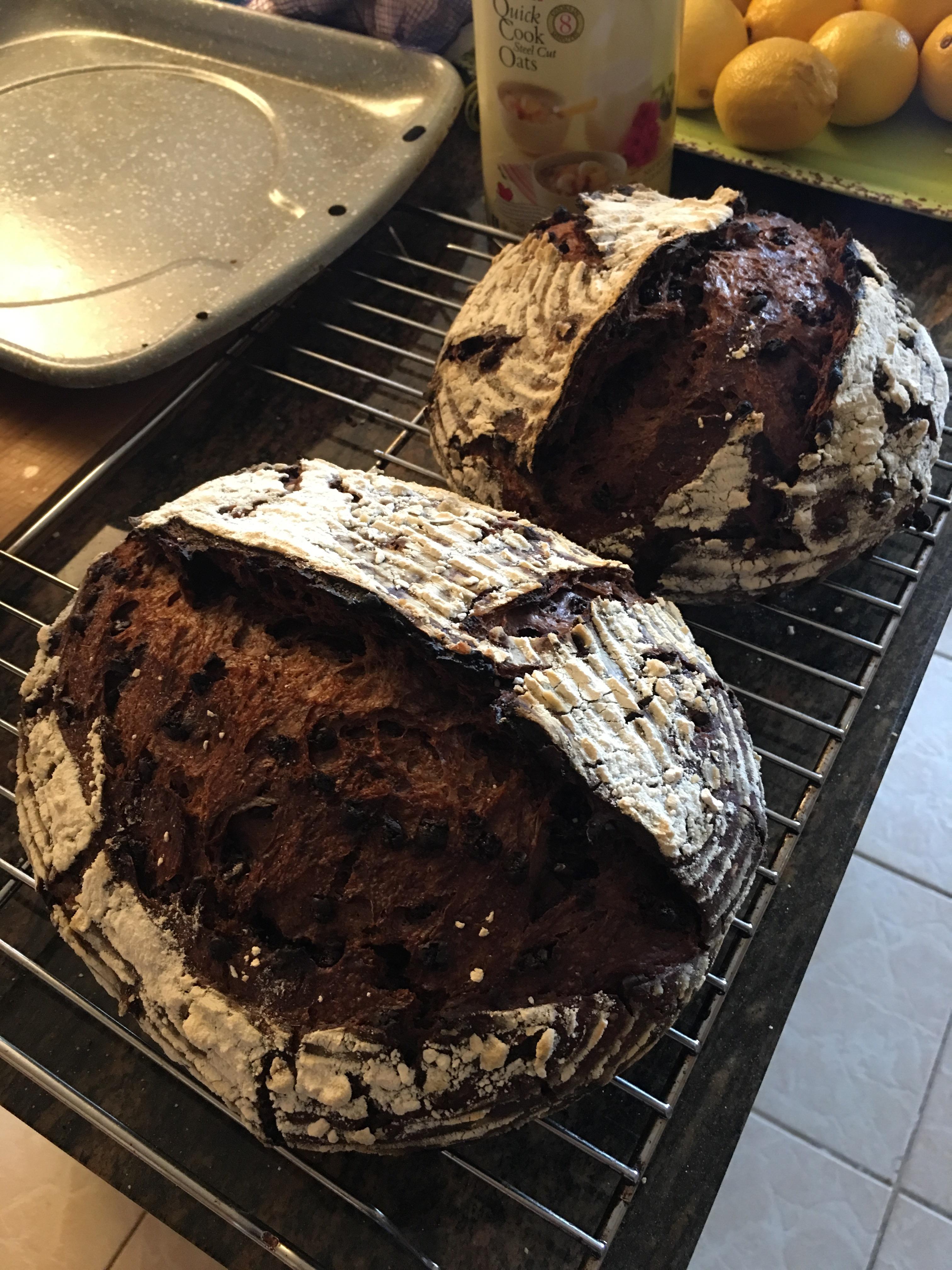 Chocolate sourdough! All the baking this Thanksgiving!!! r/Sourdough