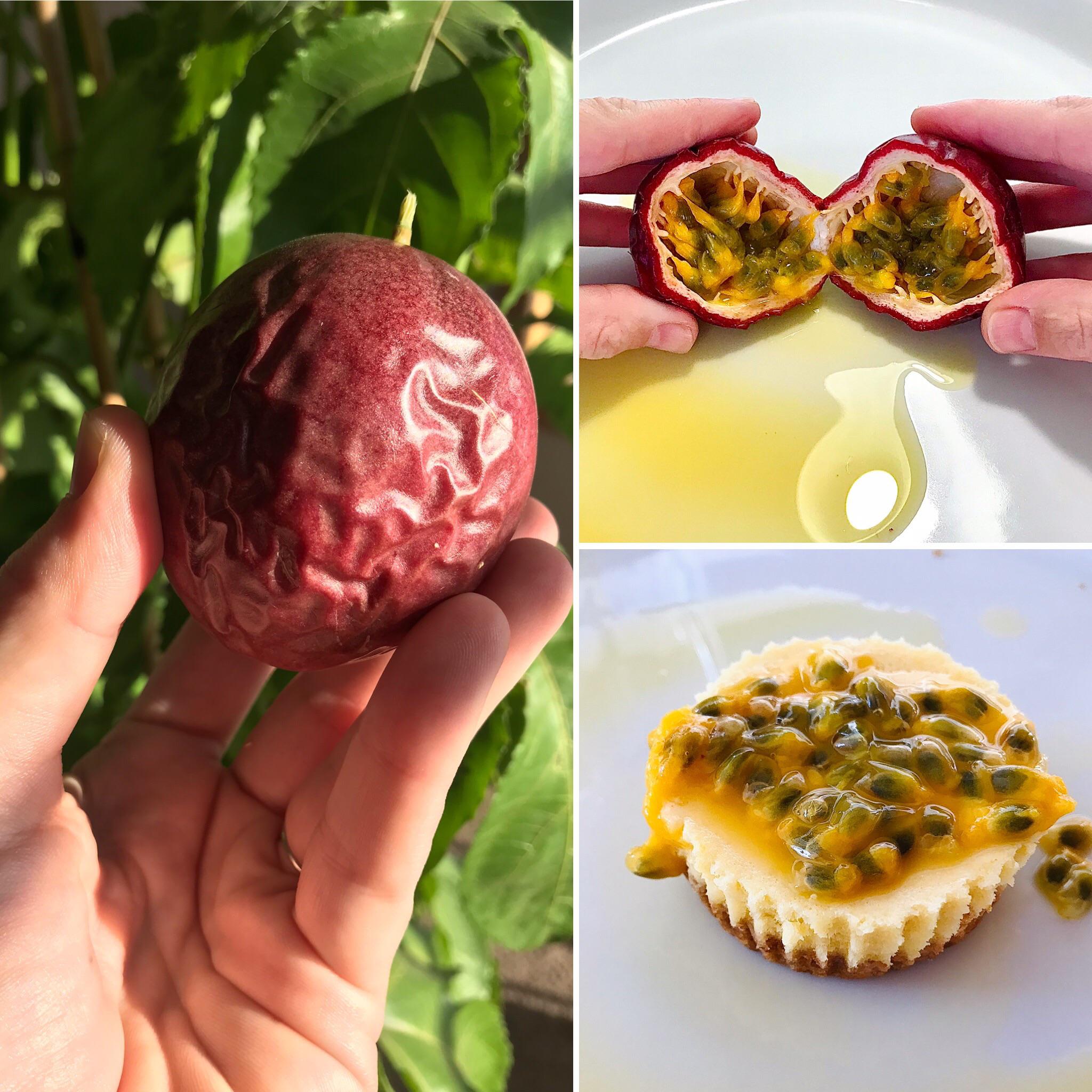 My indoor passionfruit vine fruited! Took 3 months for fruit to ripen