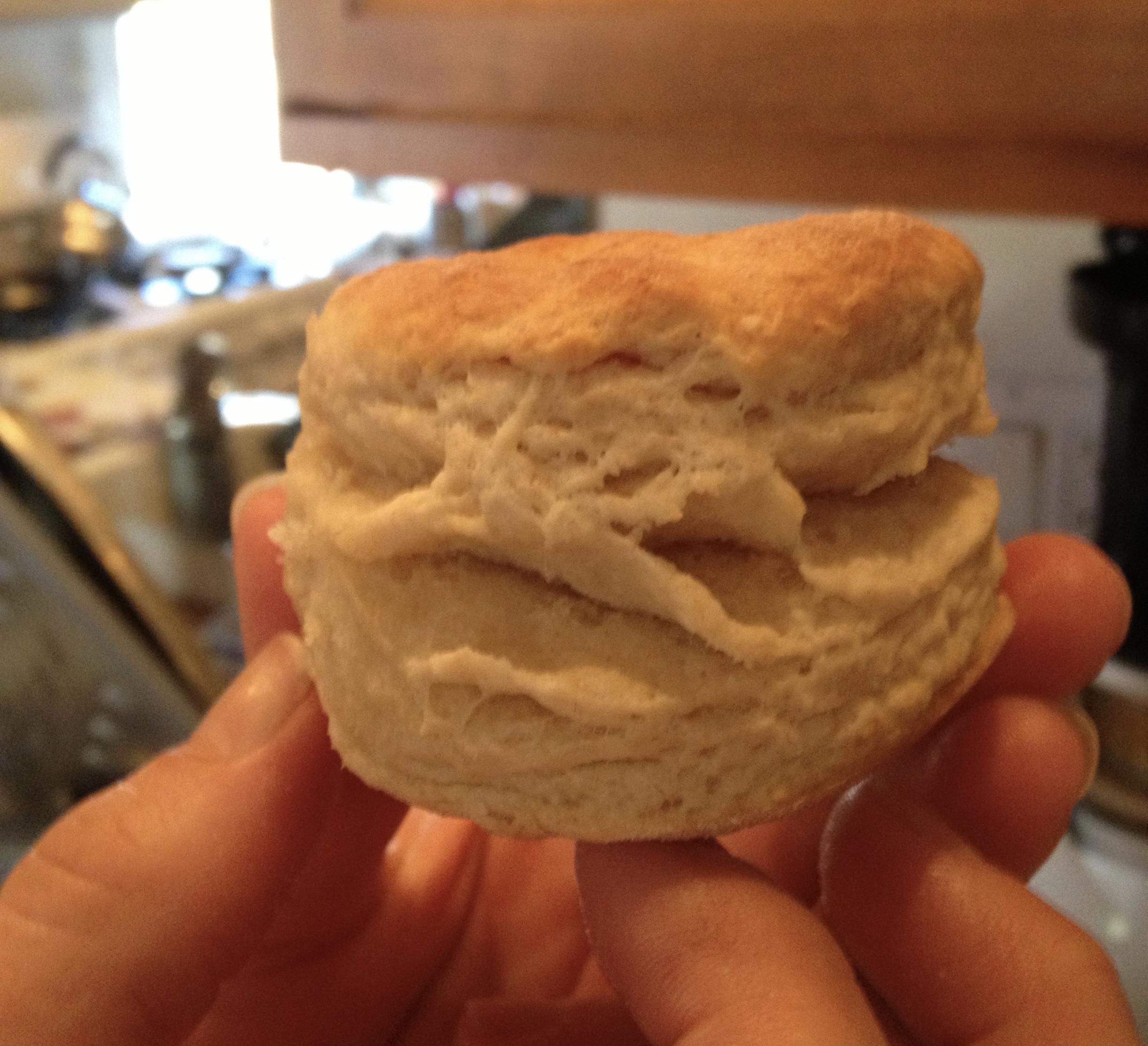 Biscuits from scratch![Homemade] r/food